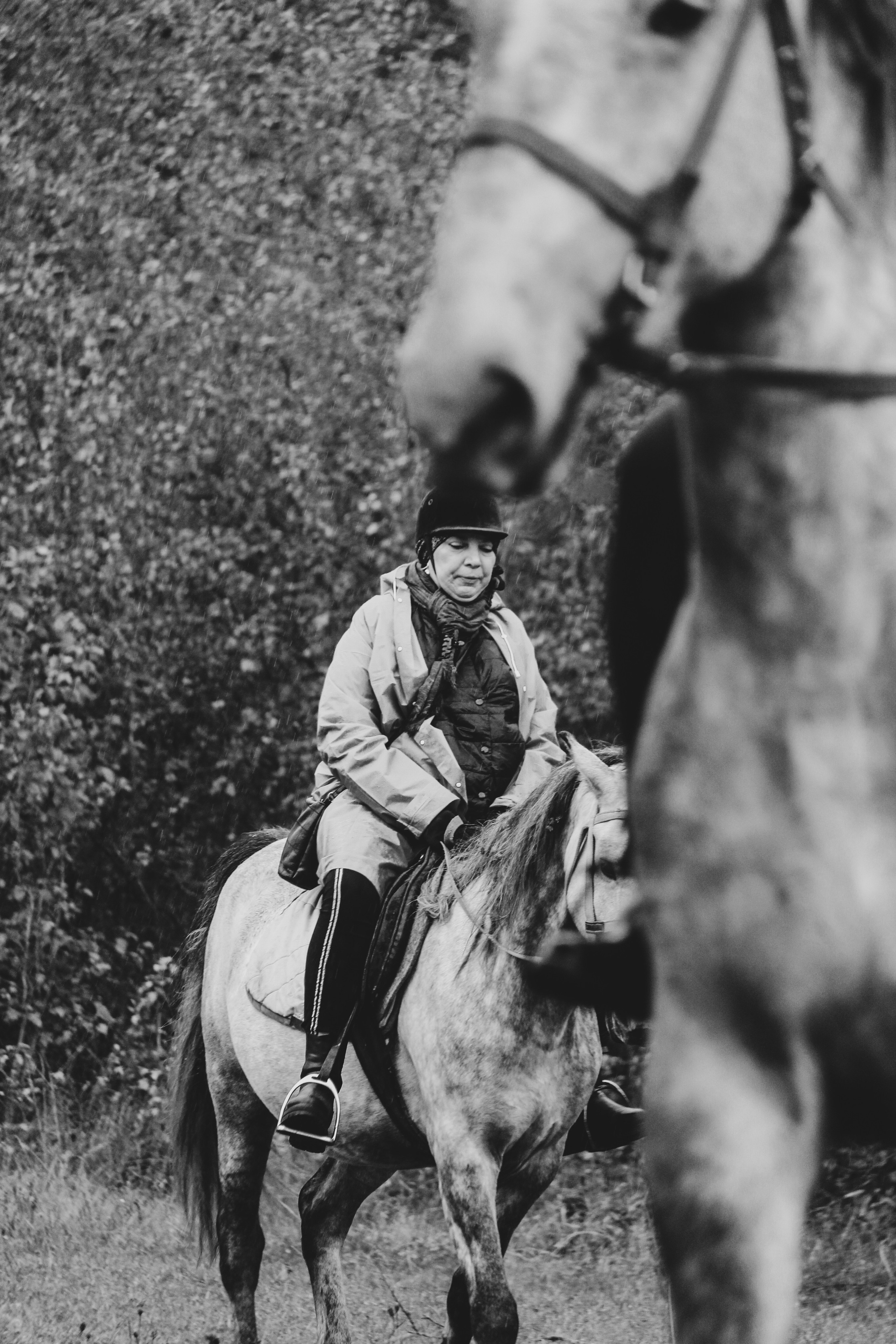 Лошадинг | 27.09.2025. Галерея Фантим