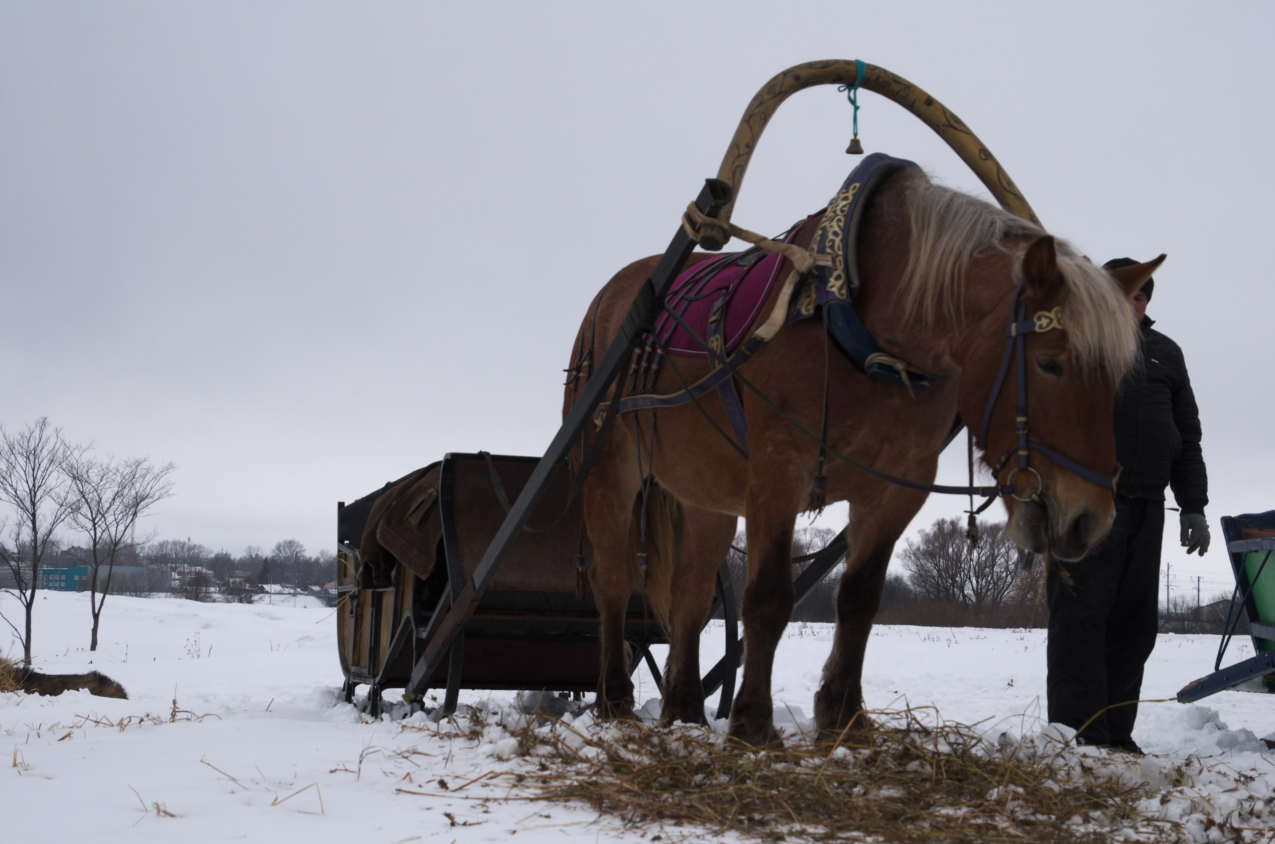 Владимир+Суздаль | 18-19.02.2017. Галерея Фантим
