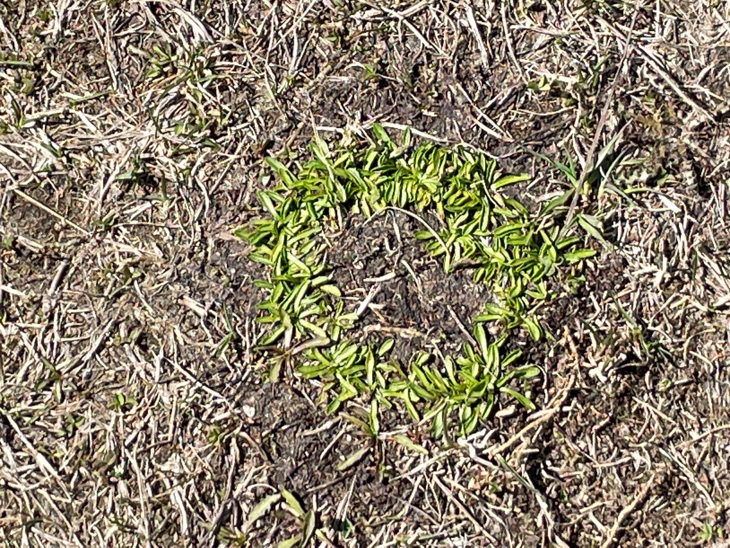 Архангельск | 08.05 — 11.05.2025. Галерея Фантим