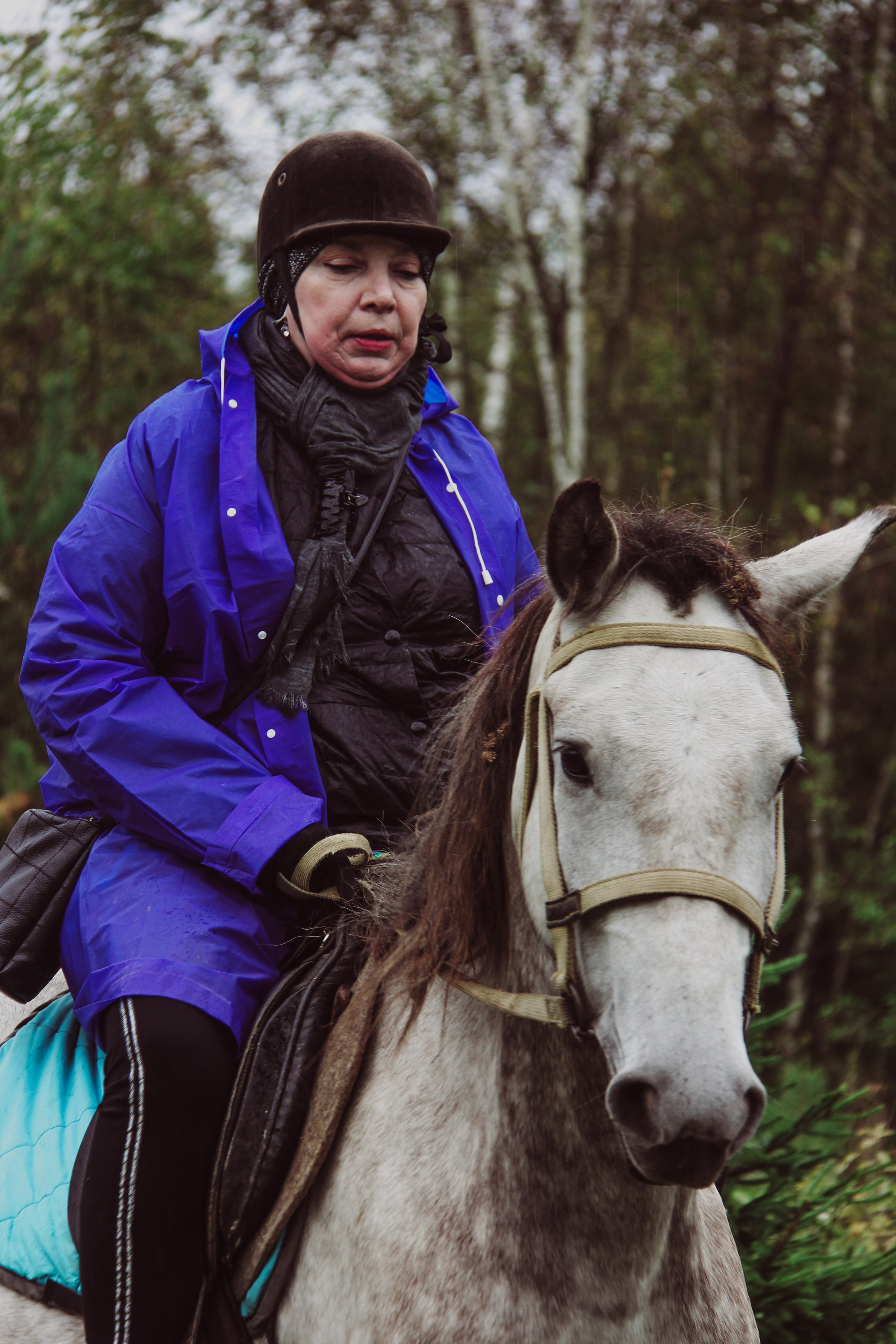 Лошадинг | 27.09.2025. Галерея Фантим