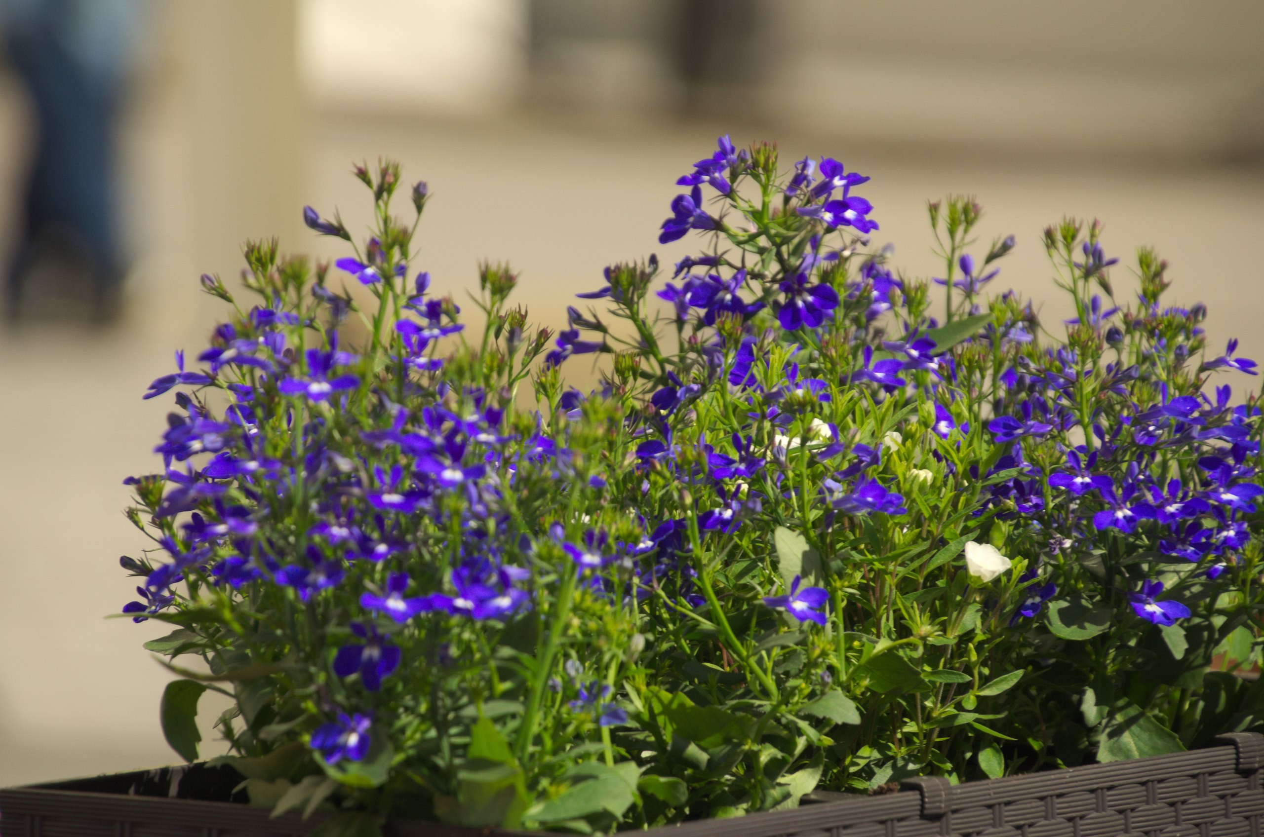 Польша | 29.04-05.05.2017. Галерея Фантим