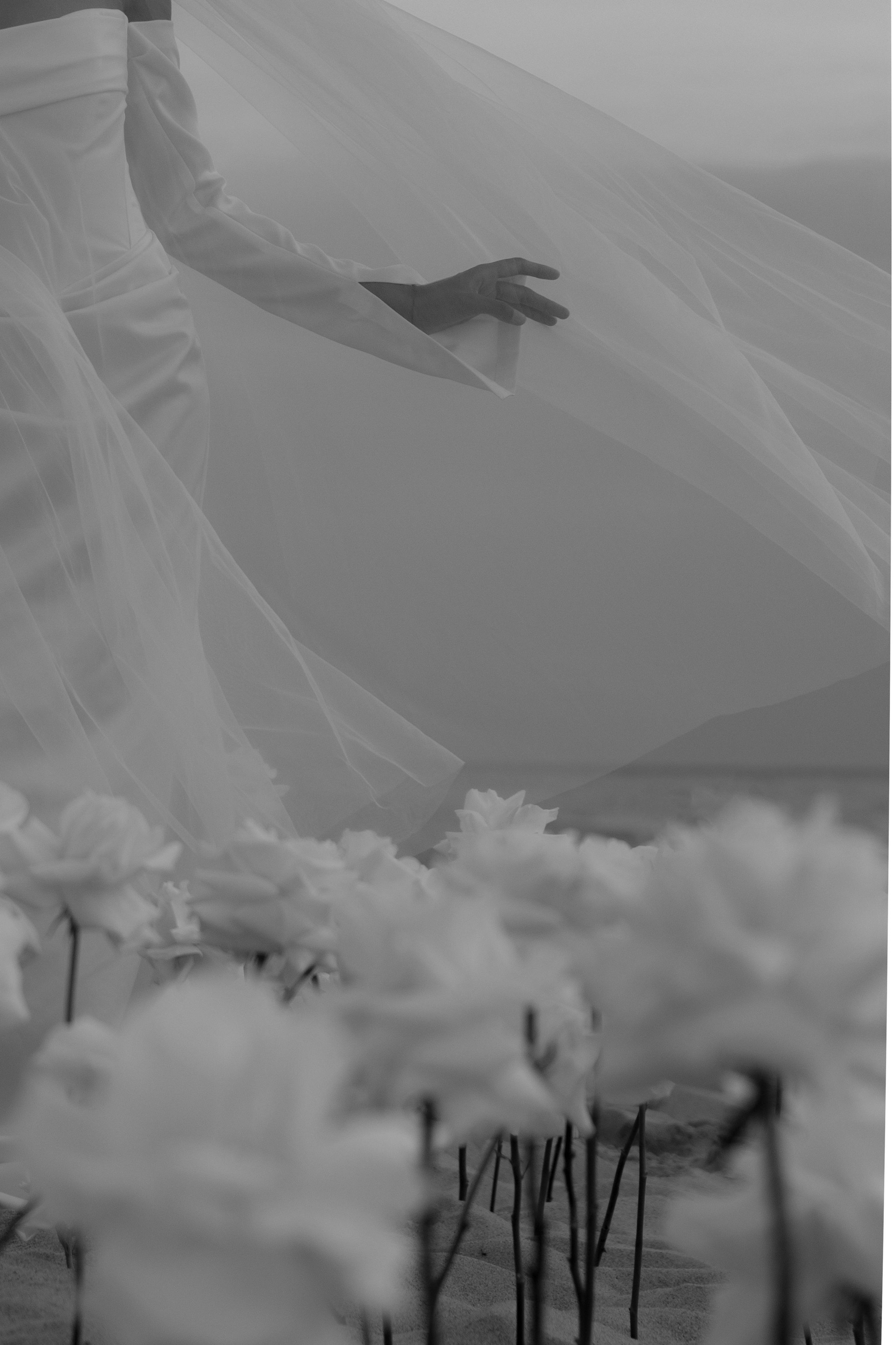 Выездная регистрация на море с белыми розами. Свадебный фотограф Калининград