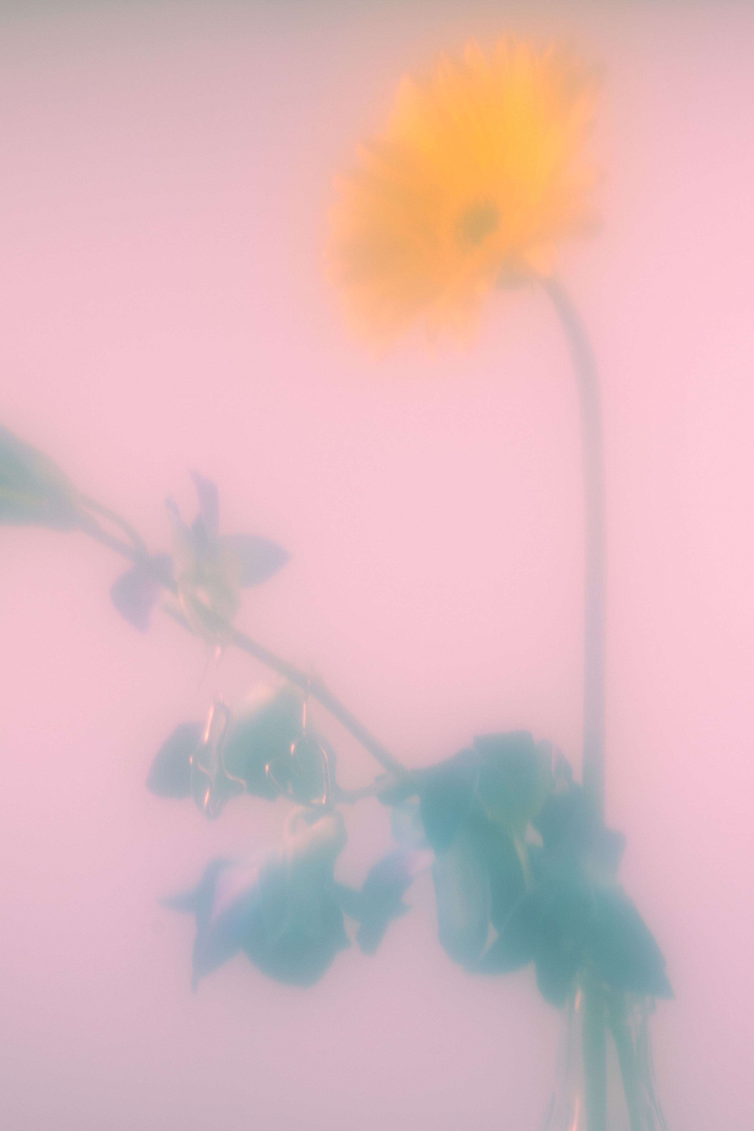 Heartsandminds.jewelry. Предметный фотограф Москва Глухарёва Оля