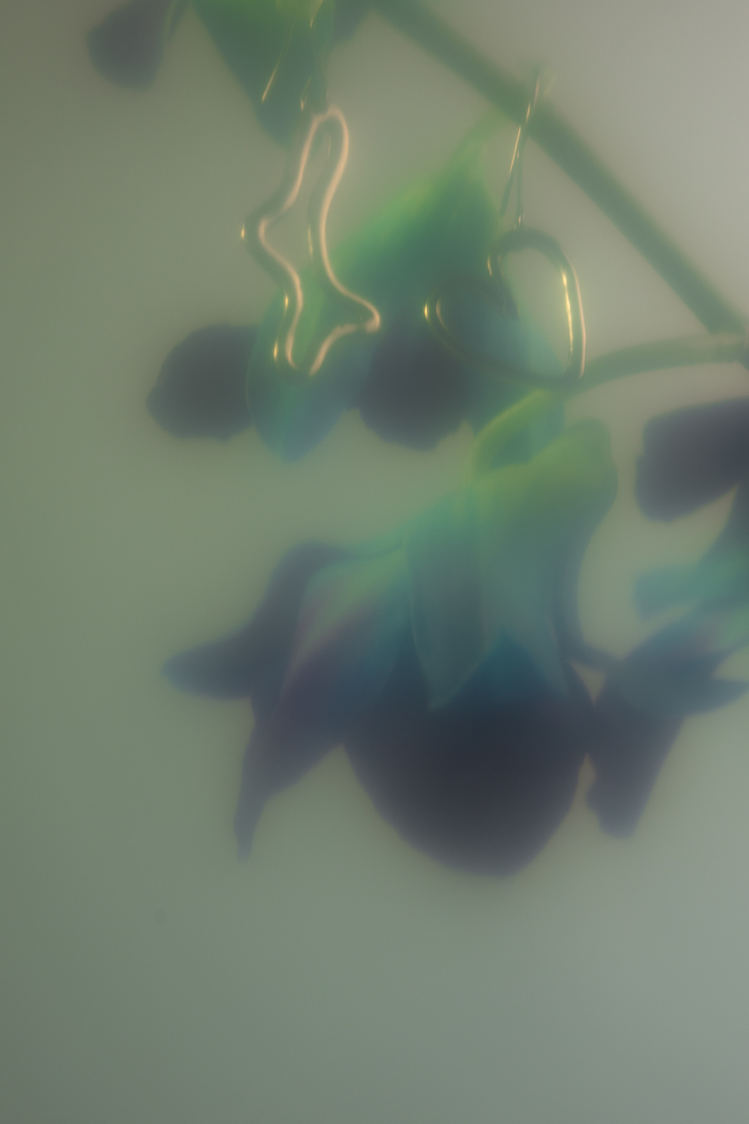 Heartsandminds.jewelry. Предметный фотограф Москва Глухарёва Оля