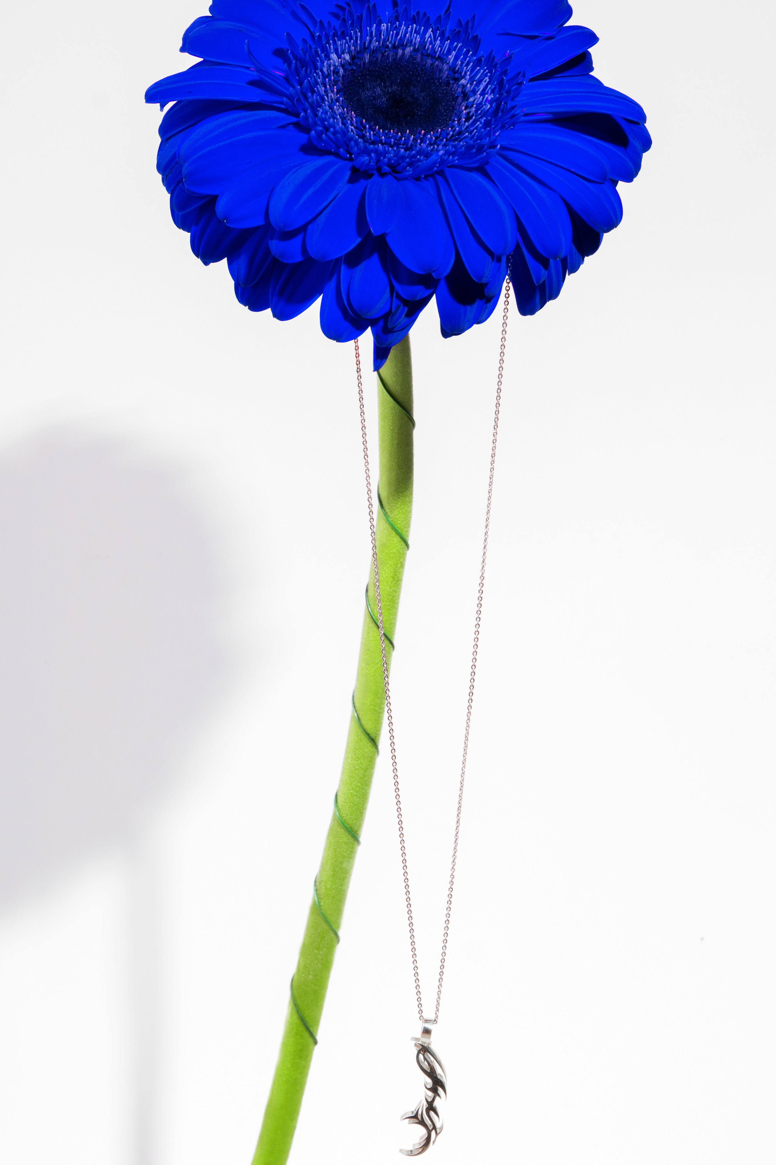 Heartsandminds.jewelry. Предметный фотограф Москва Глухарёва Оля