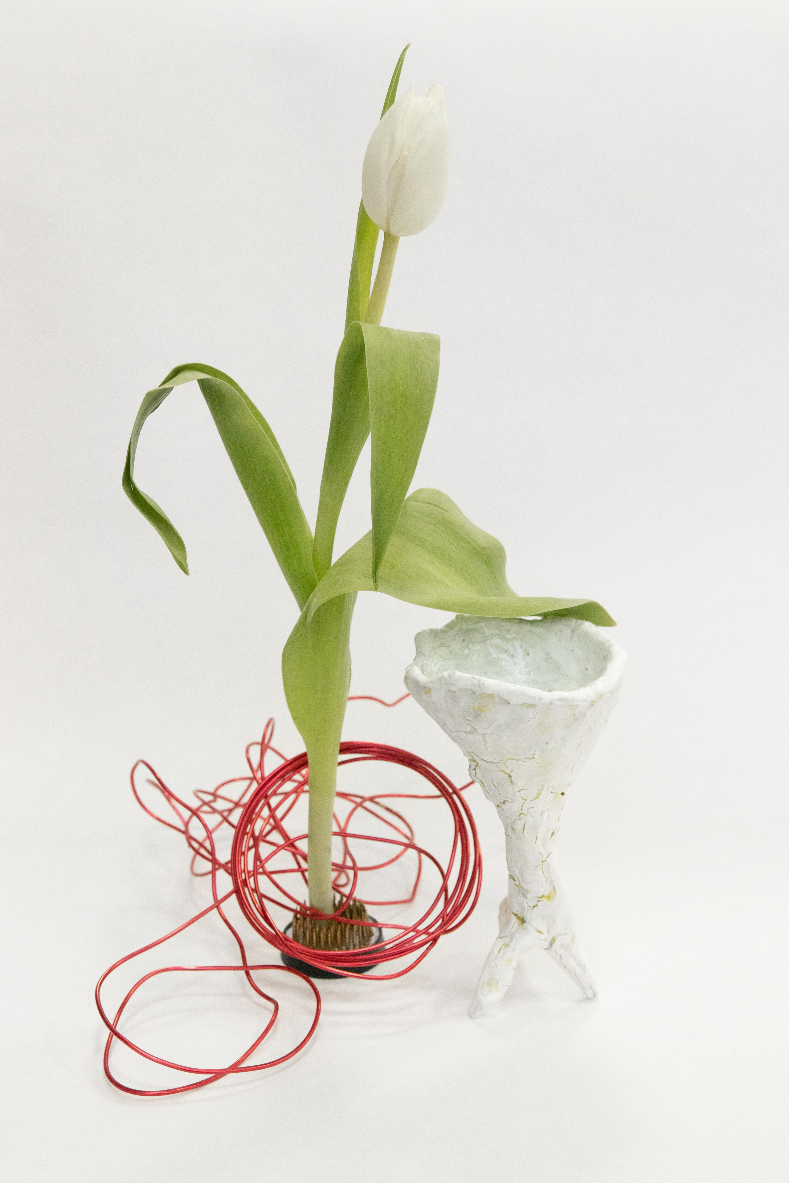 Керамика mp_vetka. Предметный фотограф Москва Глухарёва Оля