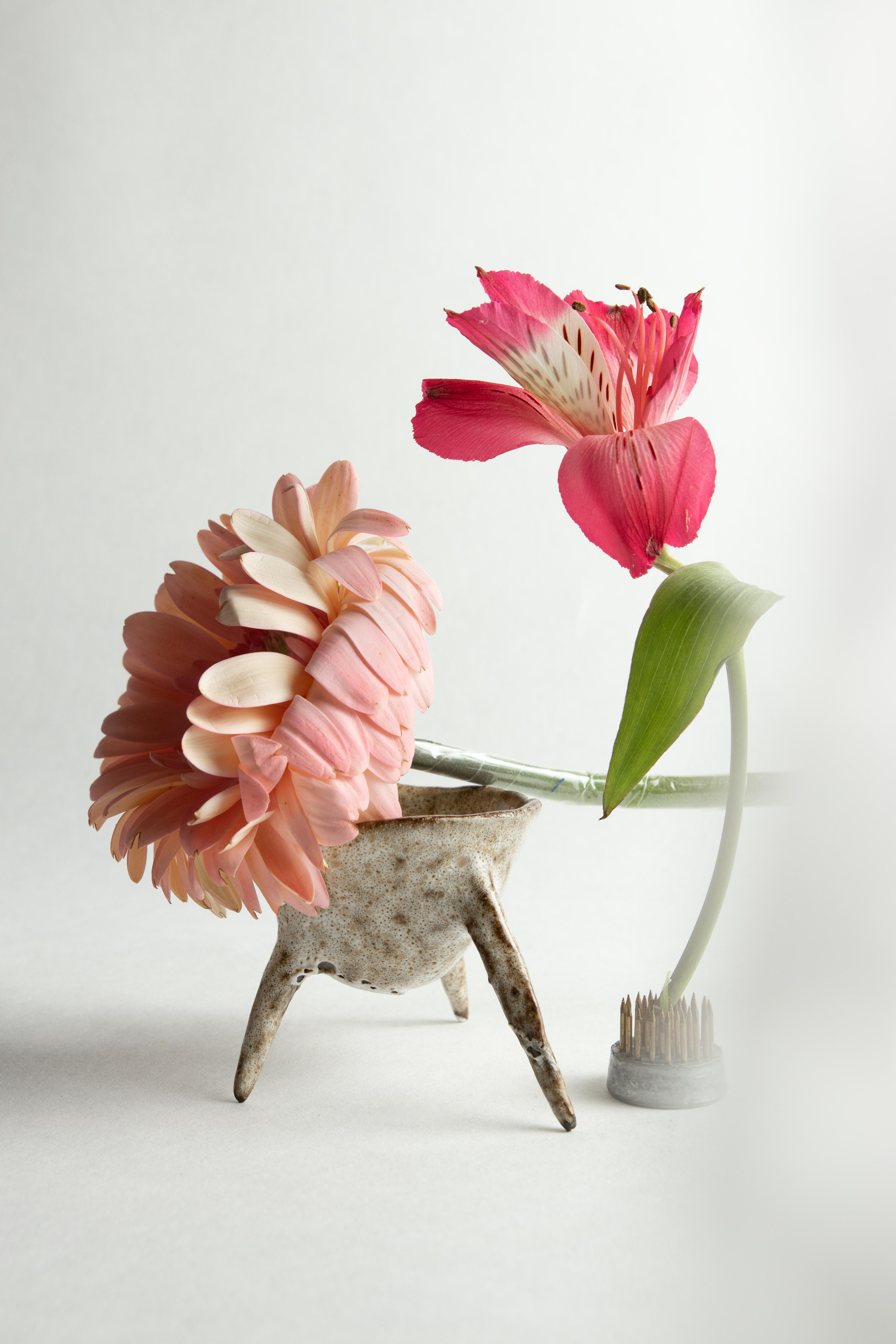 Керамика mp_vetka. Предметный фотограф Москва Глухарёва Оля