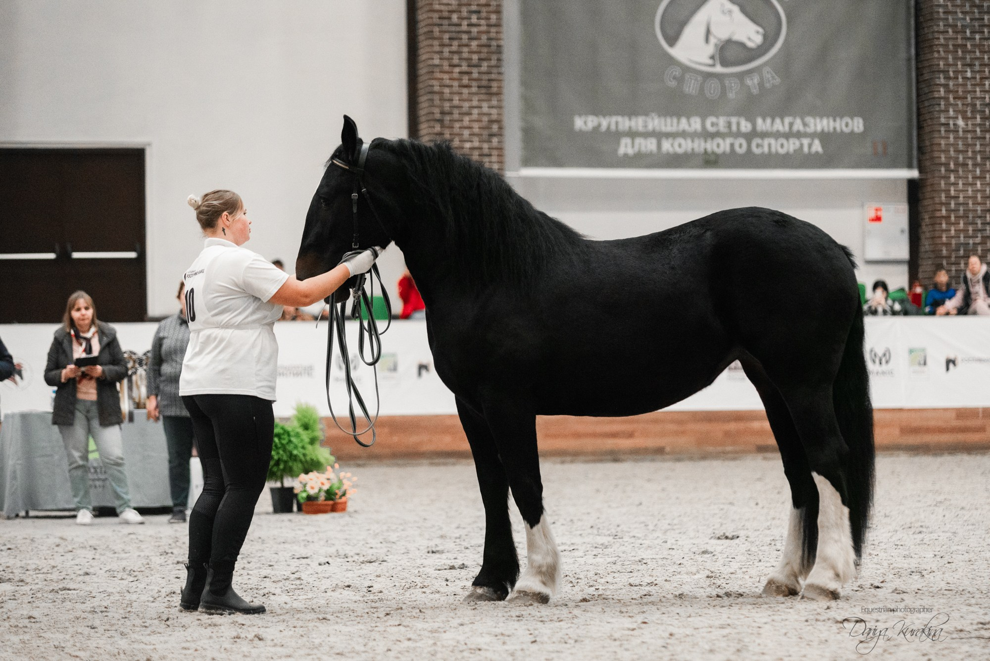 8-я международная выставка Конная Россия. Конный фотограф Куракина Дарья • Фотосессии с лошадьми