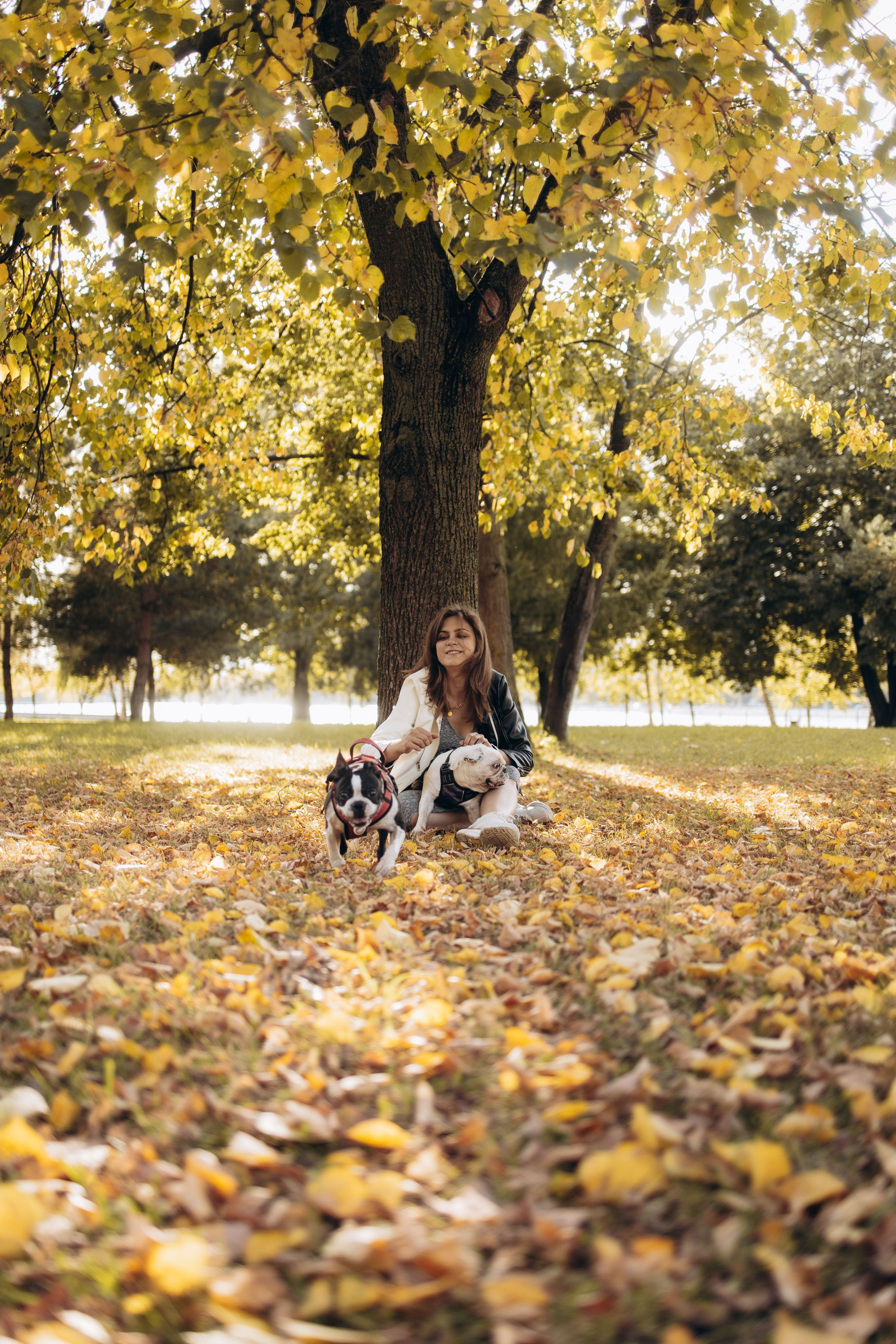 Оля и бульдоги