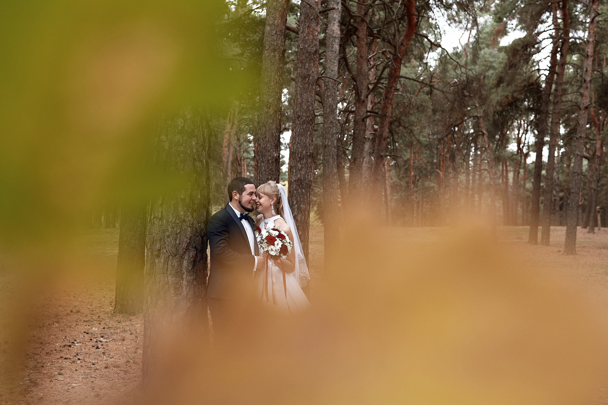 Свадебная регистрация прогулка в соснах. Фото видео съёмка в Белой Калитве дуэт Герман и Инна