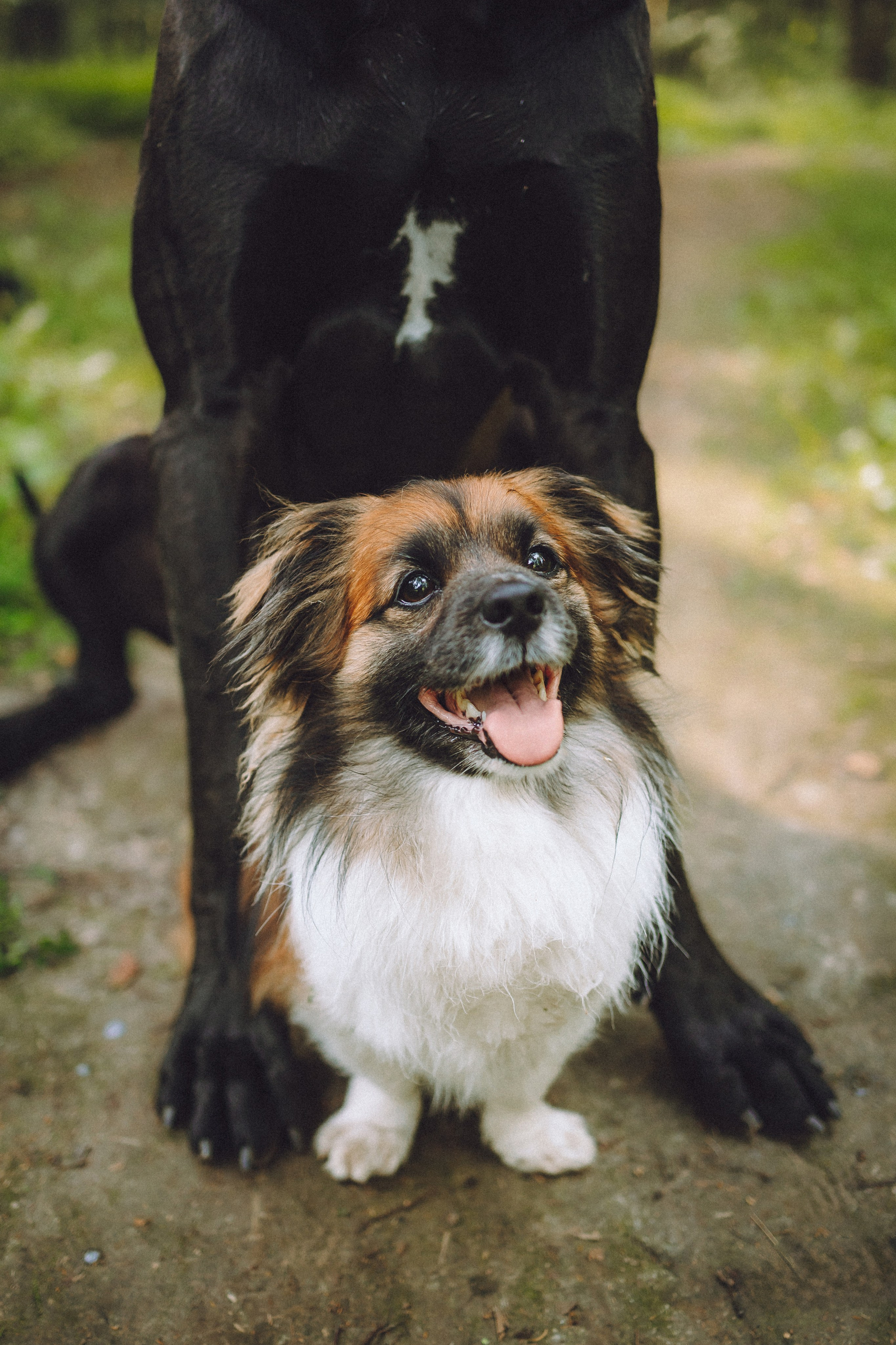 Катя, Андрей, Гектор, Ричи, Тортик и Трой