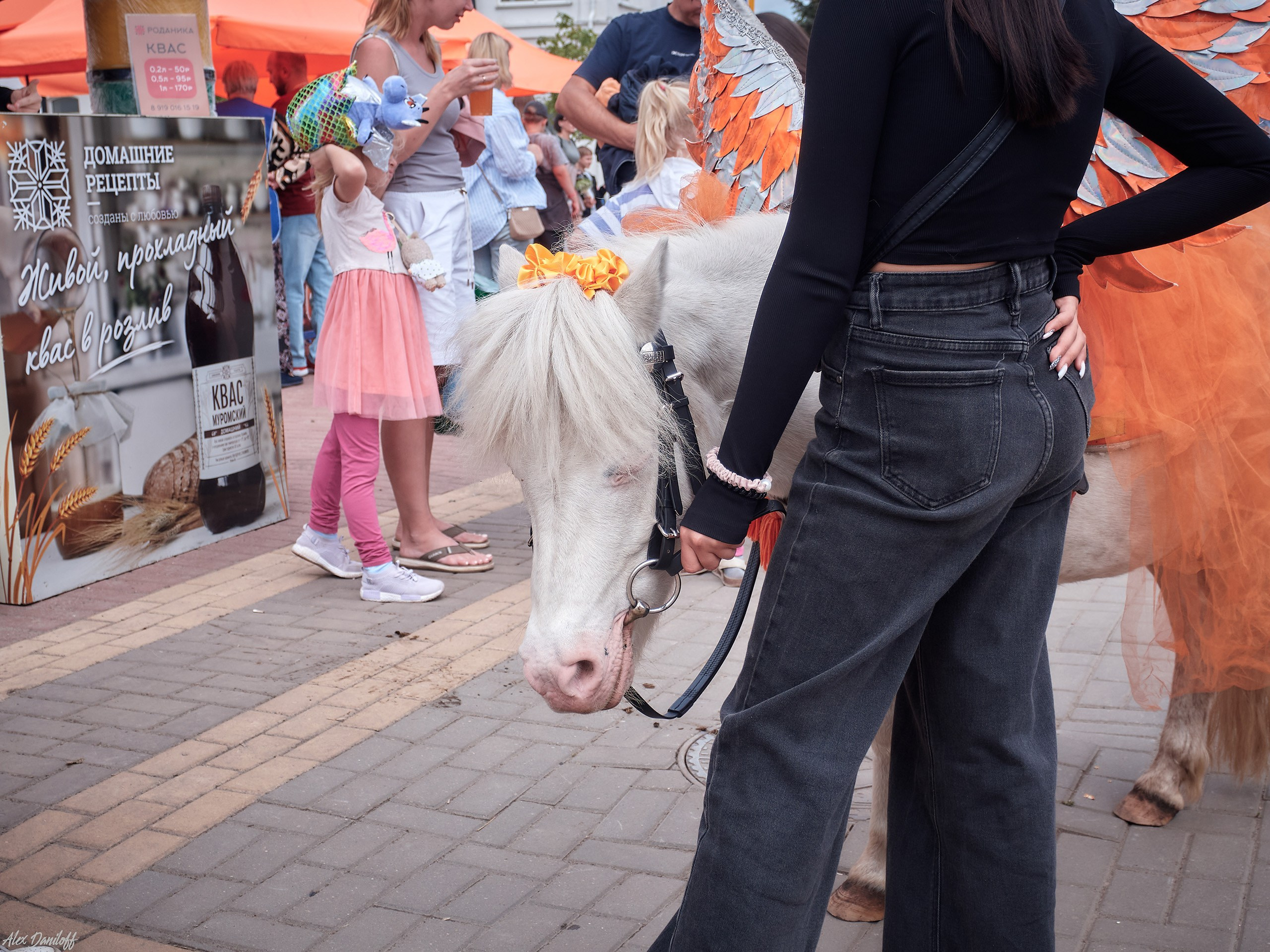 День семьи, любви и верности 2025. Муром-Инфо. Новости культуры, образования, спорта в городе Муром