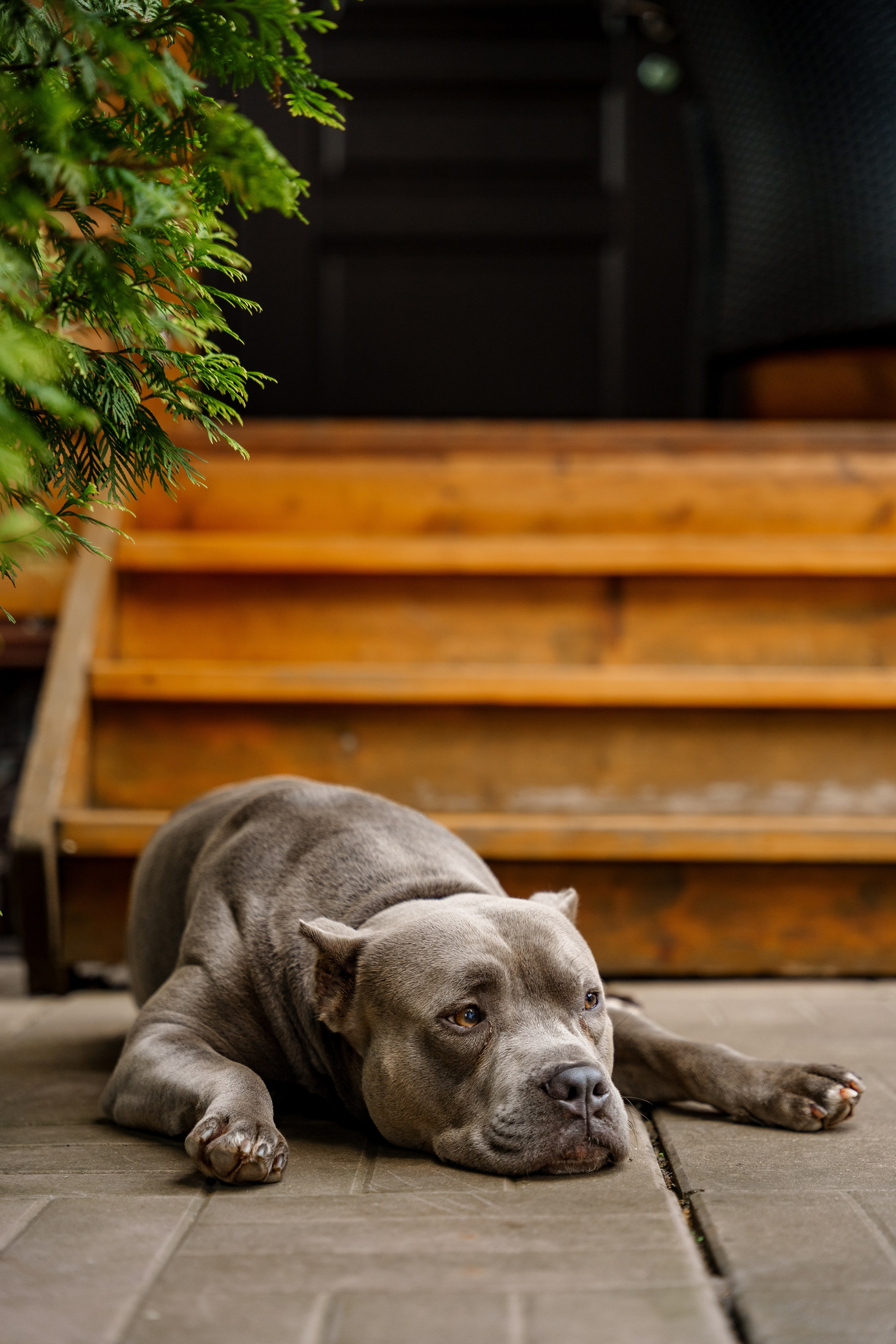 Ева 1 год. Станислав Тюрин Фотограф Москва. Индивидуальные и семейные фотосессии;
