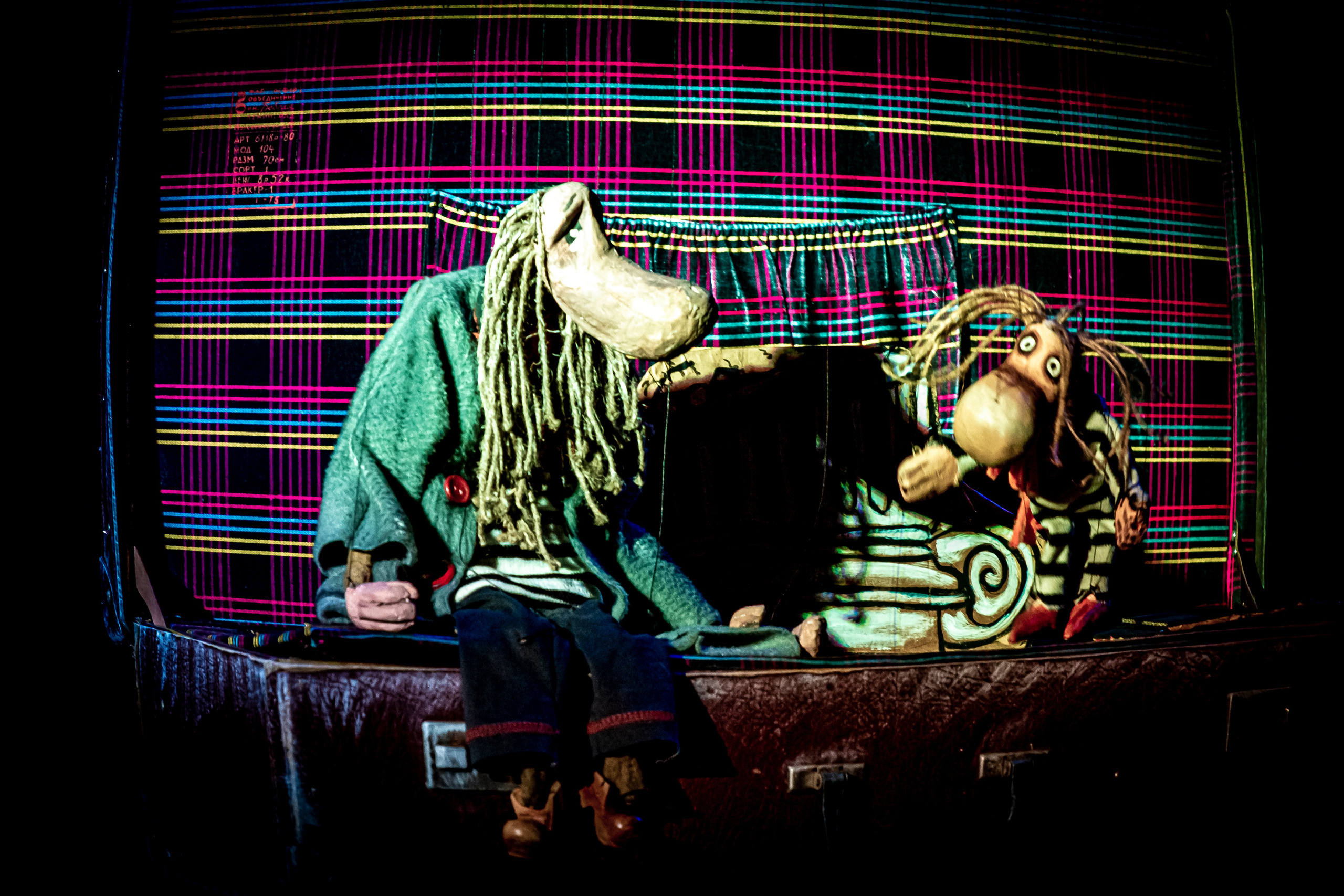 «Муми тролли и большое наводнение». Фотограф в Сочи Юрий Шептаев