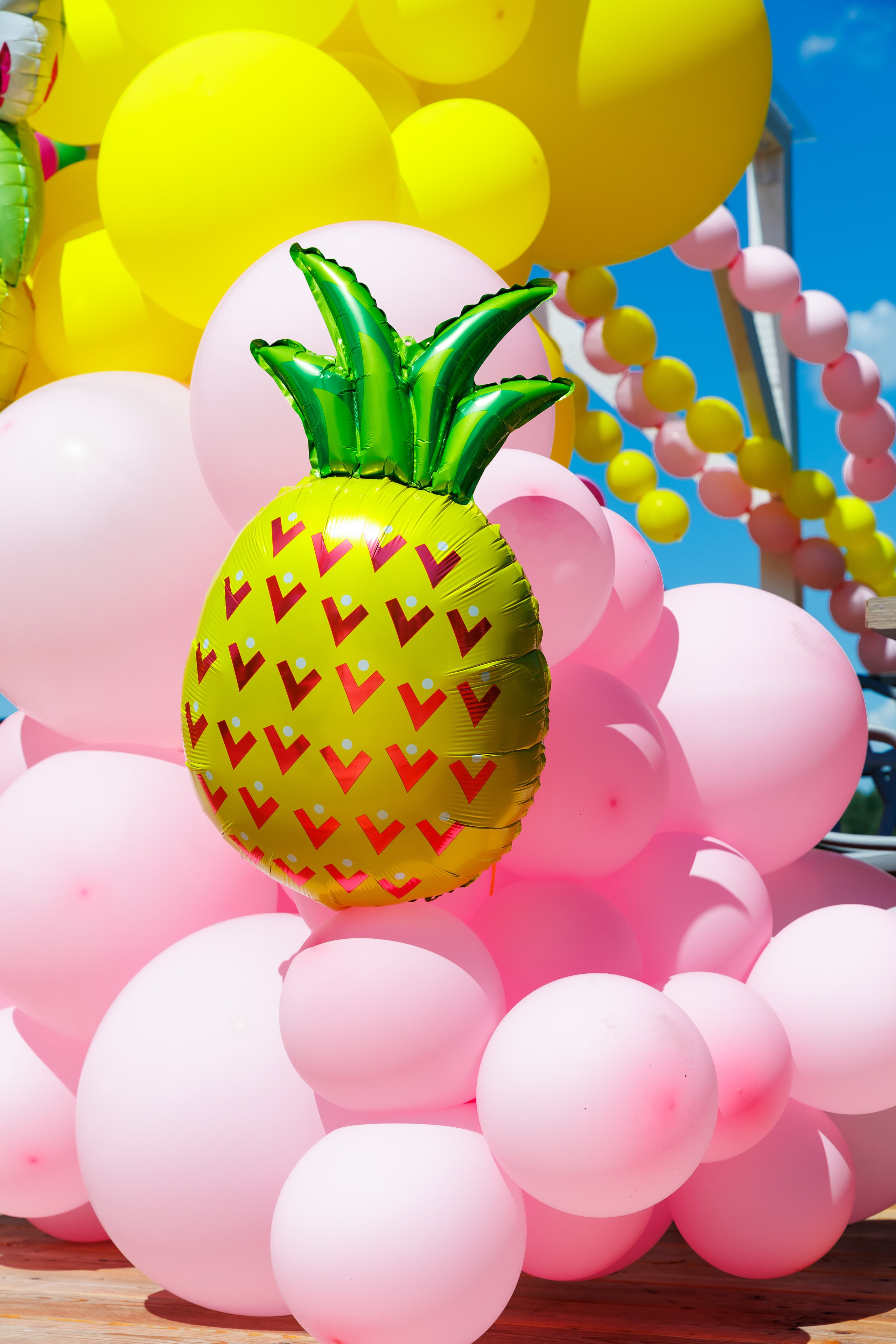 Летняя вечеринка декораторов ШИУ. Фотограф Новосибирск — Наталья Гресь