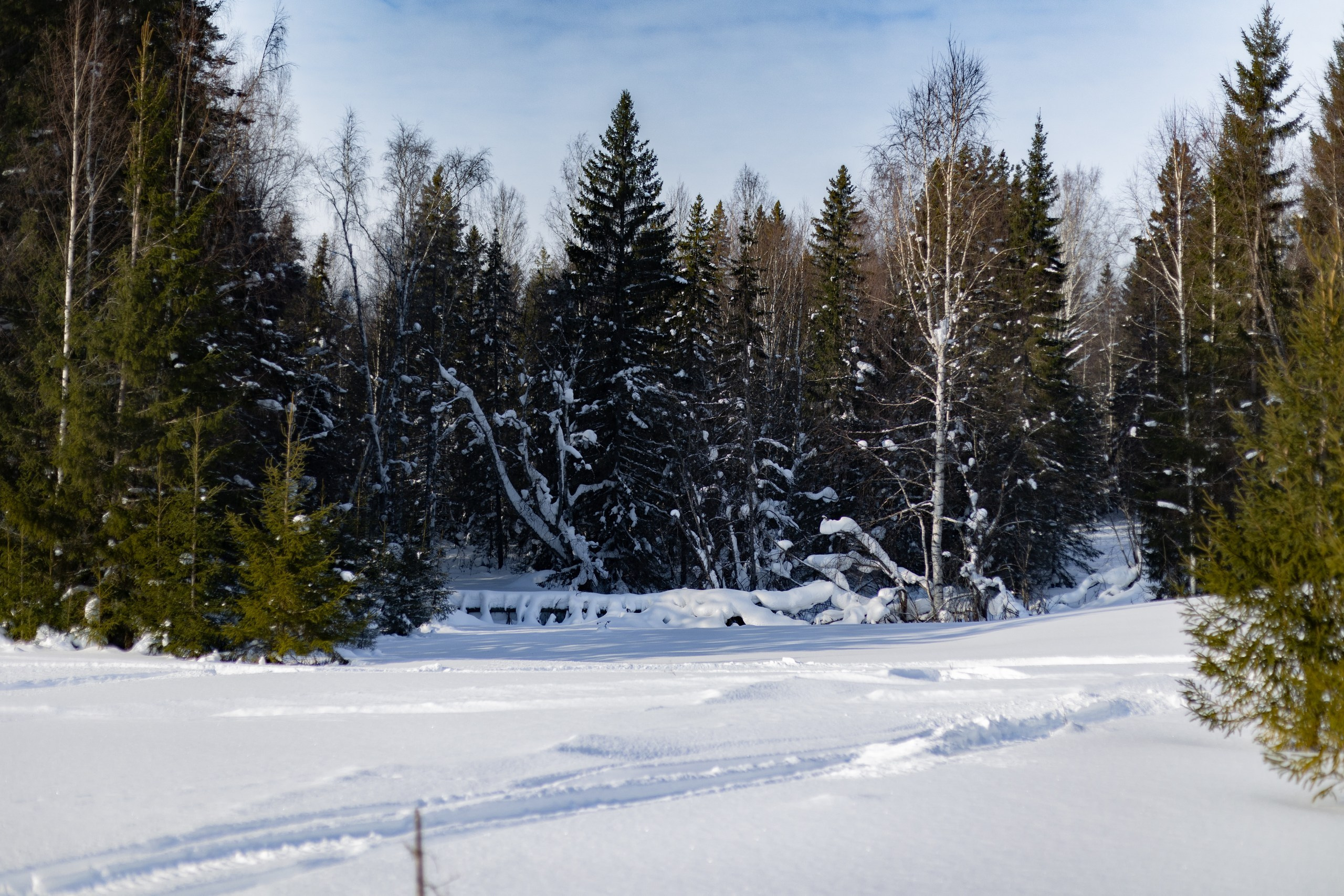 Егор. Семейный и детский фотограф в Перми Юдинцева Юлия