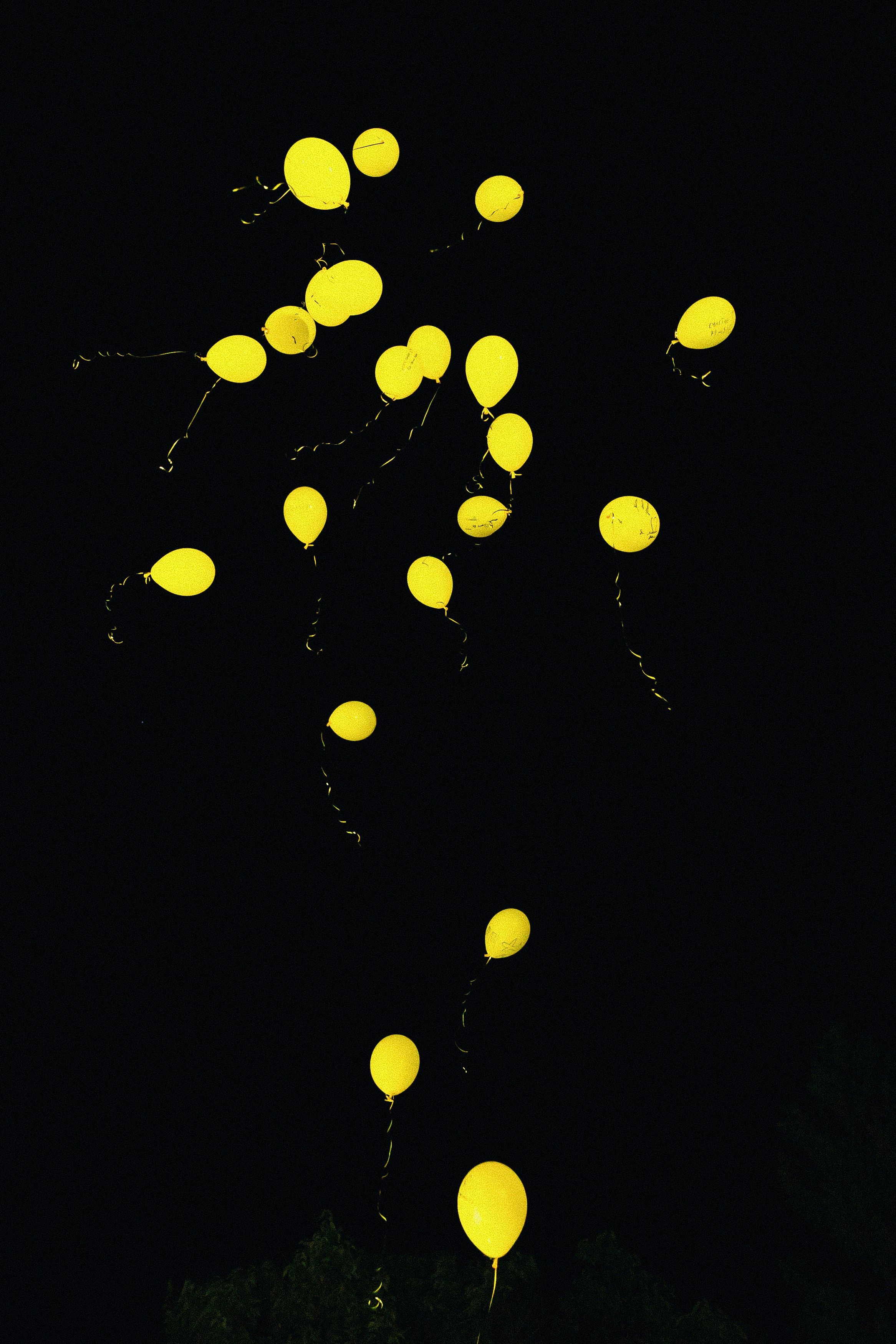 Вручение аттестатов. Свадебный фотограф Роман Еремеев