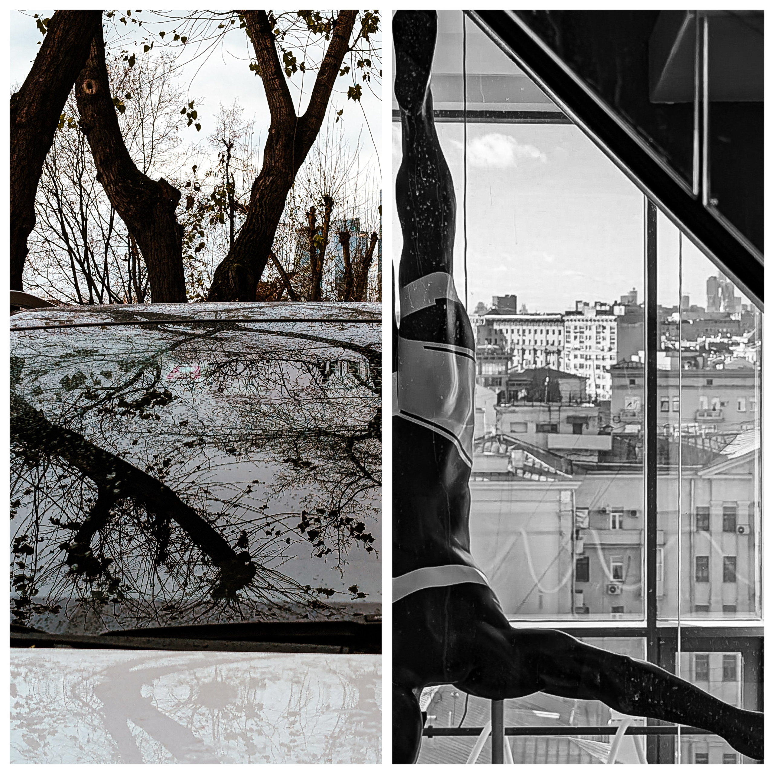 Мобильная фотография. Интерьерный и портретный фотограф в Москве Анна Моногарова