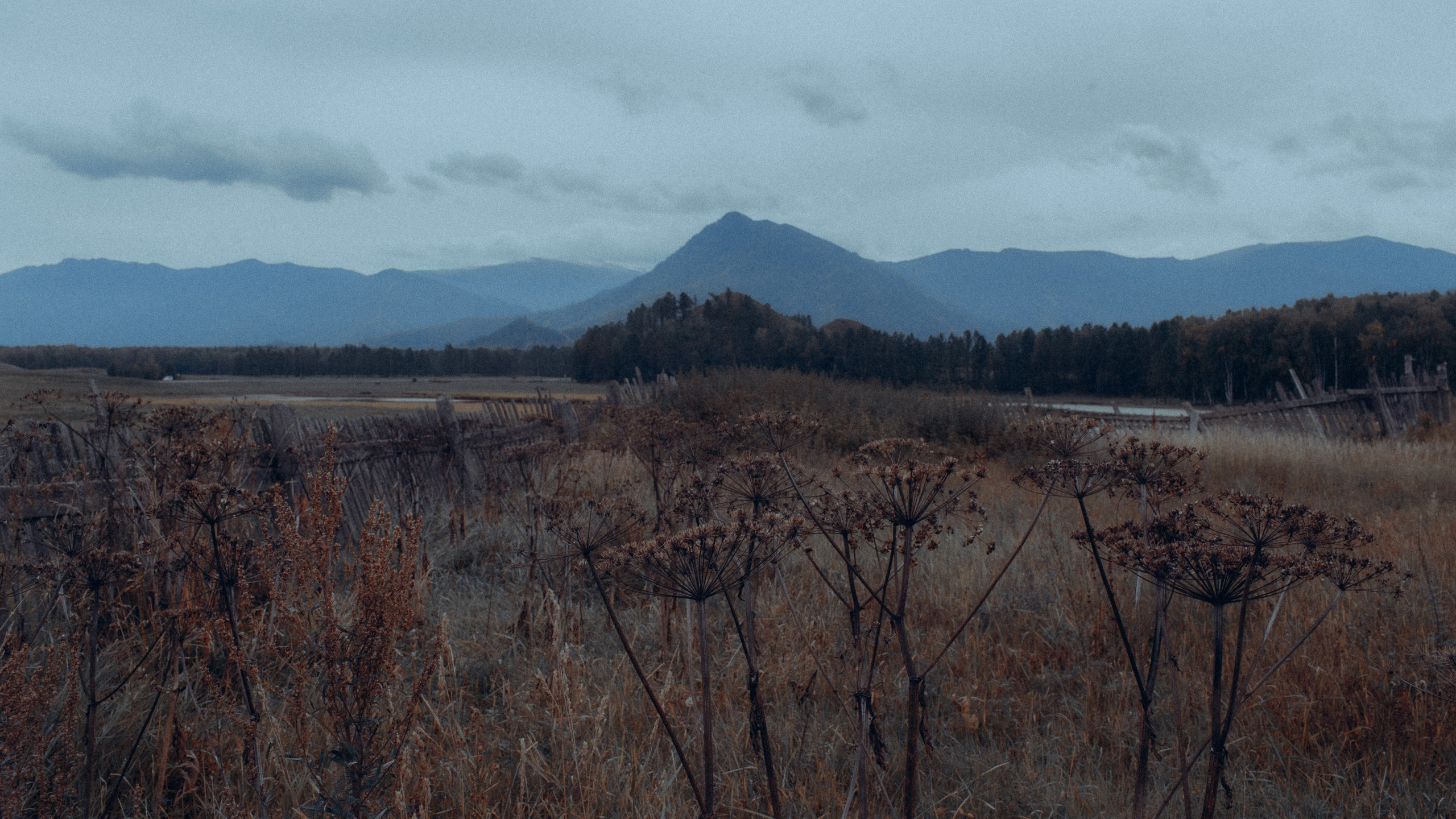 Мульта. Свадебный фотограф Артак Костанян