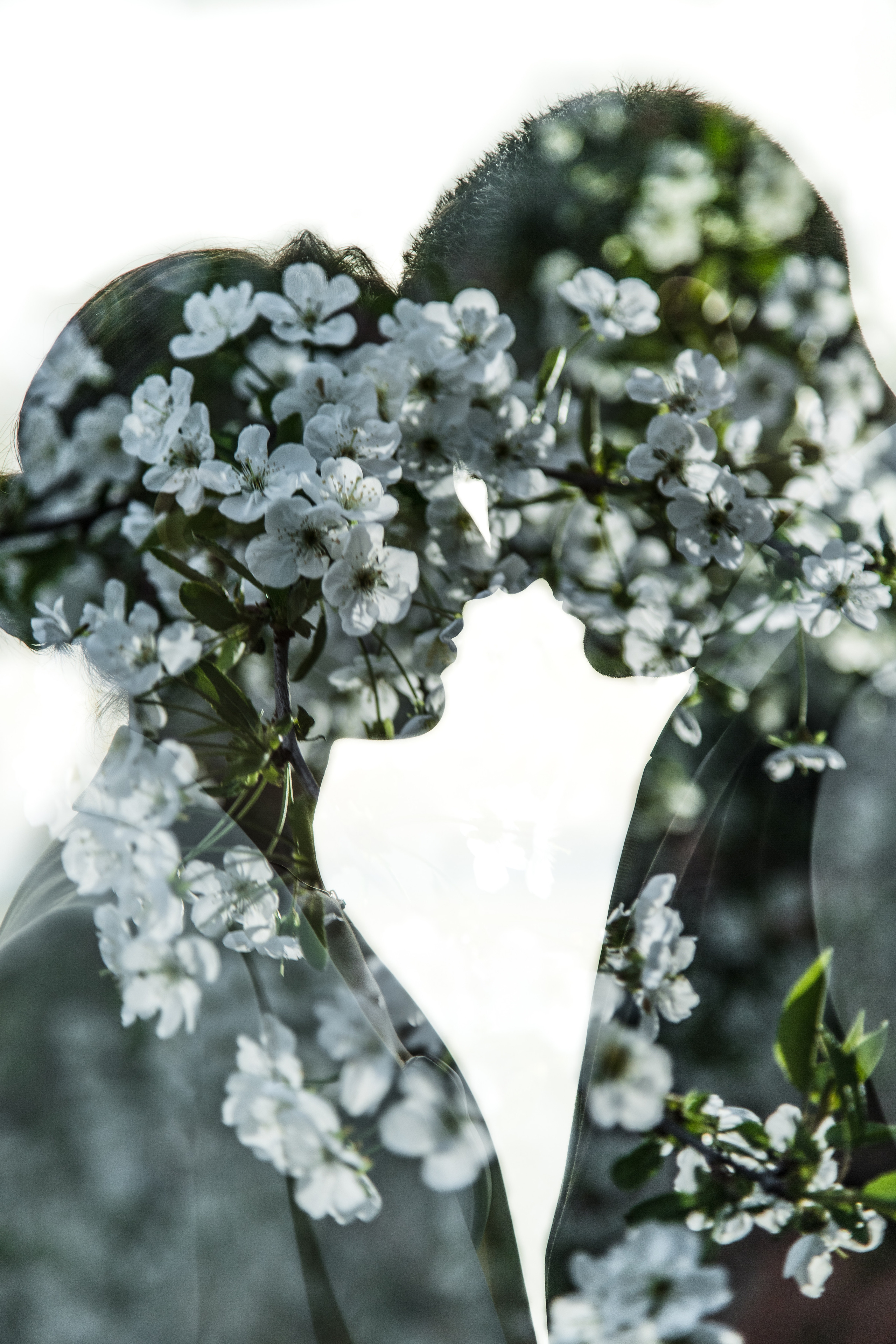 Мерема и Вадим / Элегантная классика. Для двоих