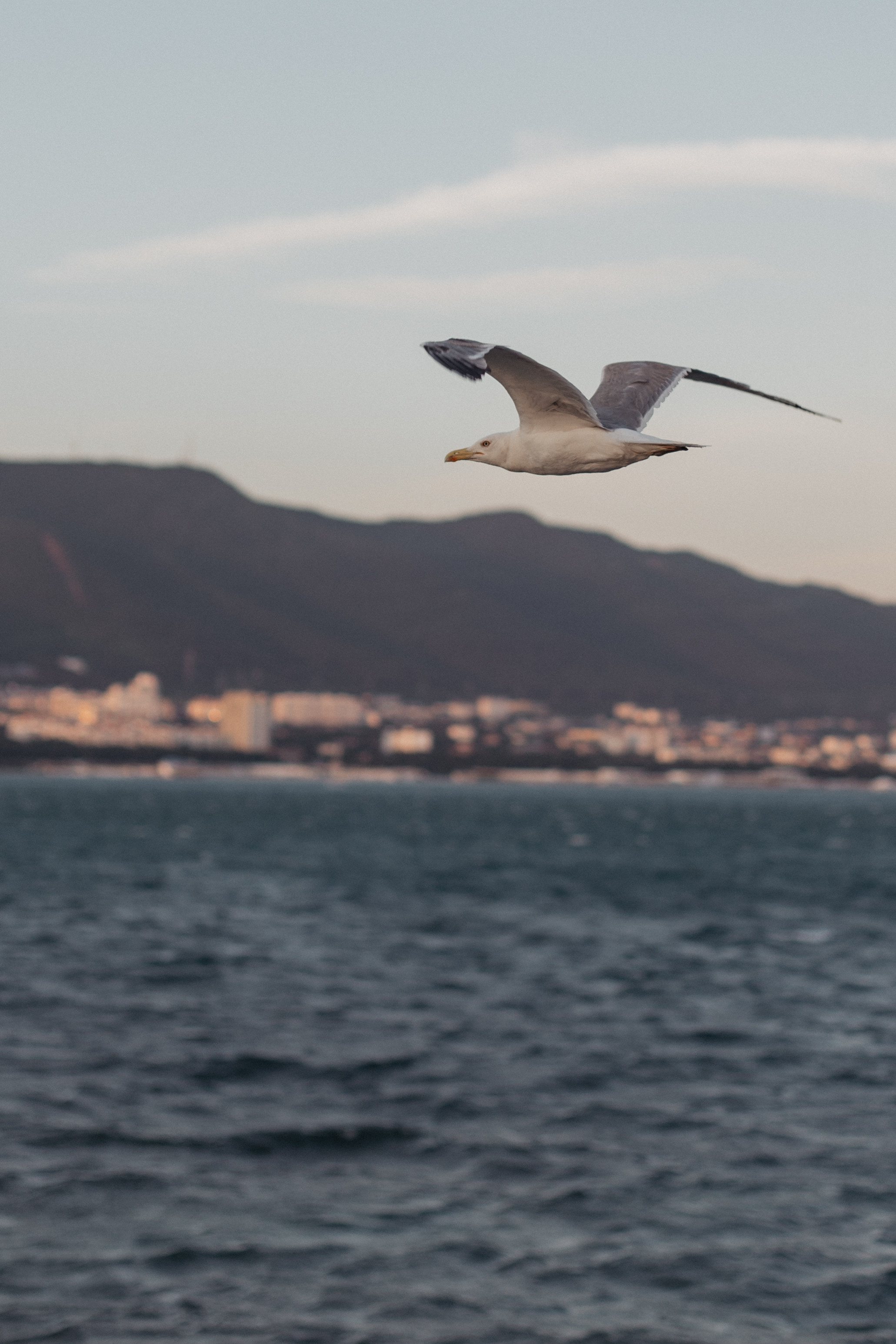 Виктория и Александр / ветер перемен