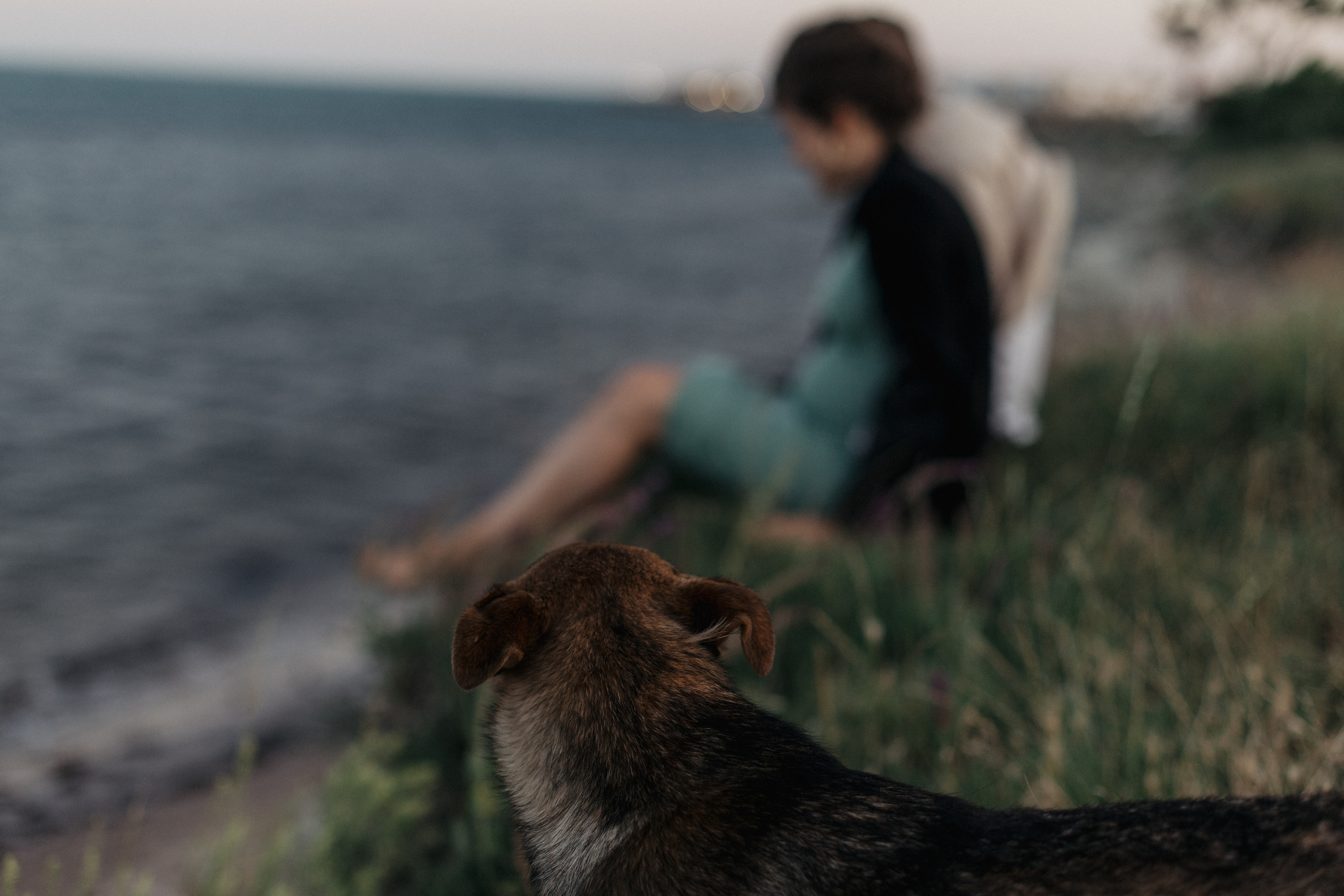 Виктория и Александр / ветер перемен