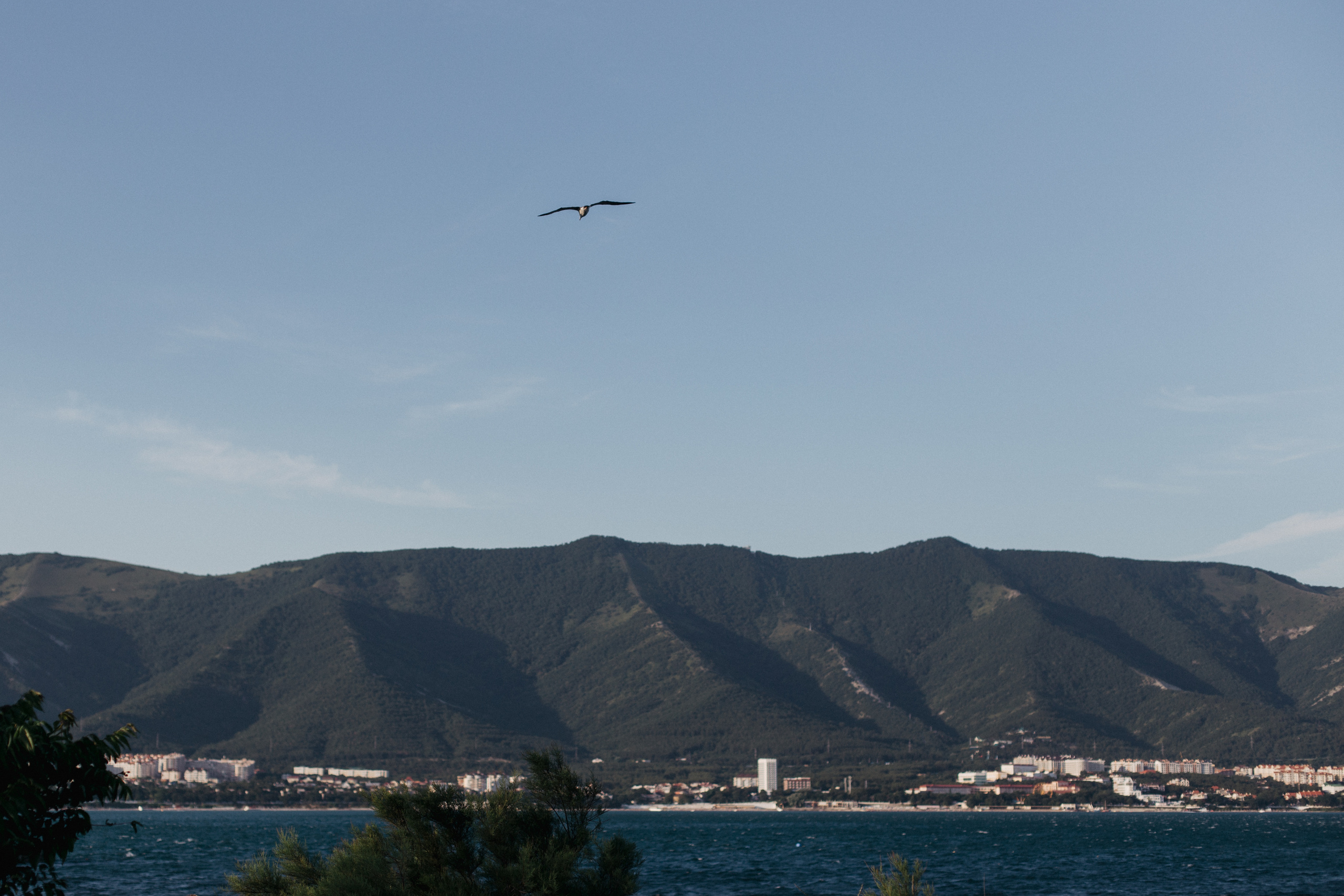 Виктория и Александр / ветер перемен