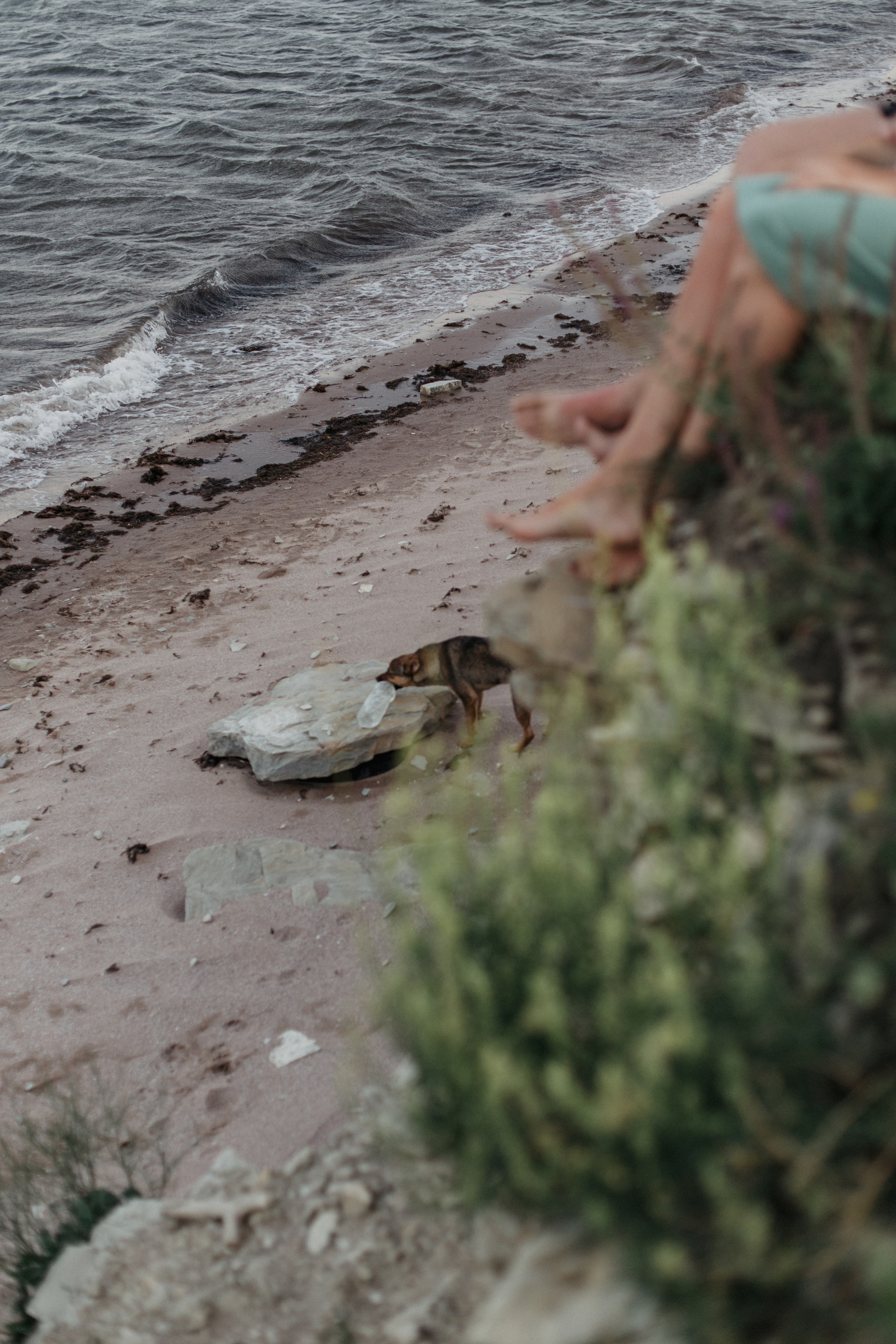 Виктория и Александр / ветер перемен