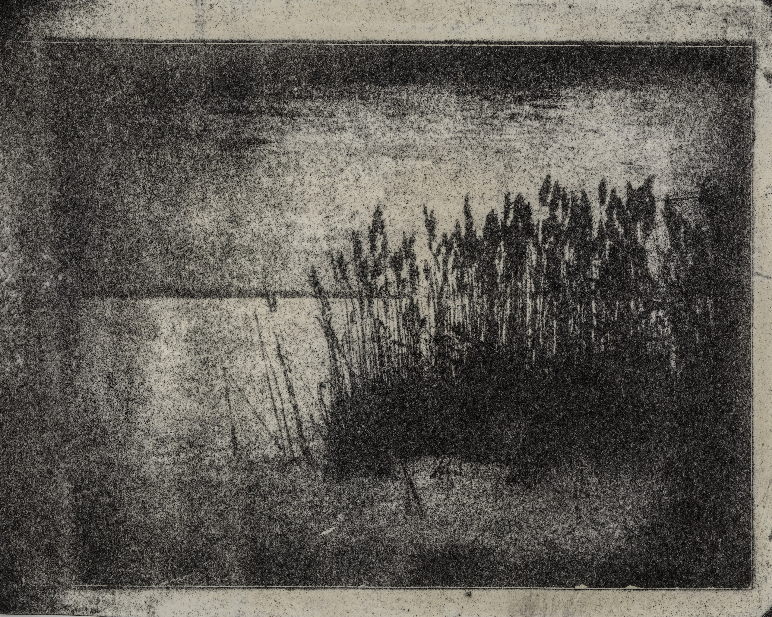 Alternative processes | gumoil | cyanotype | van dyke. Darkroom aesthetics
