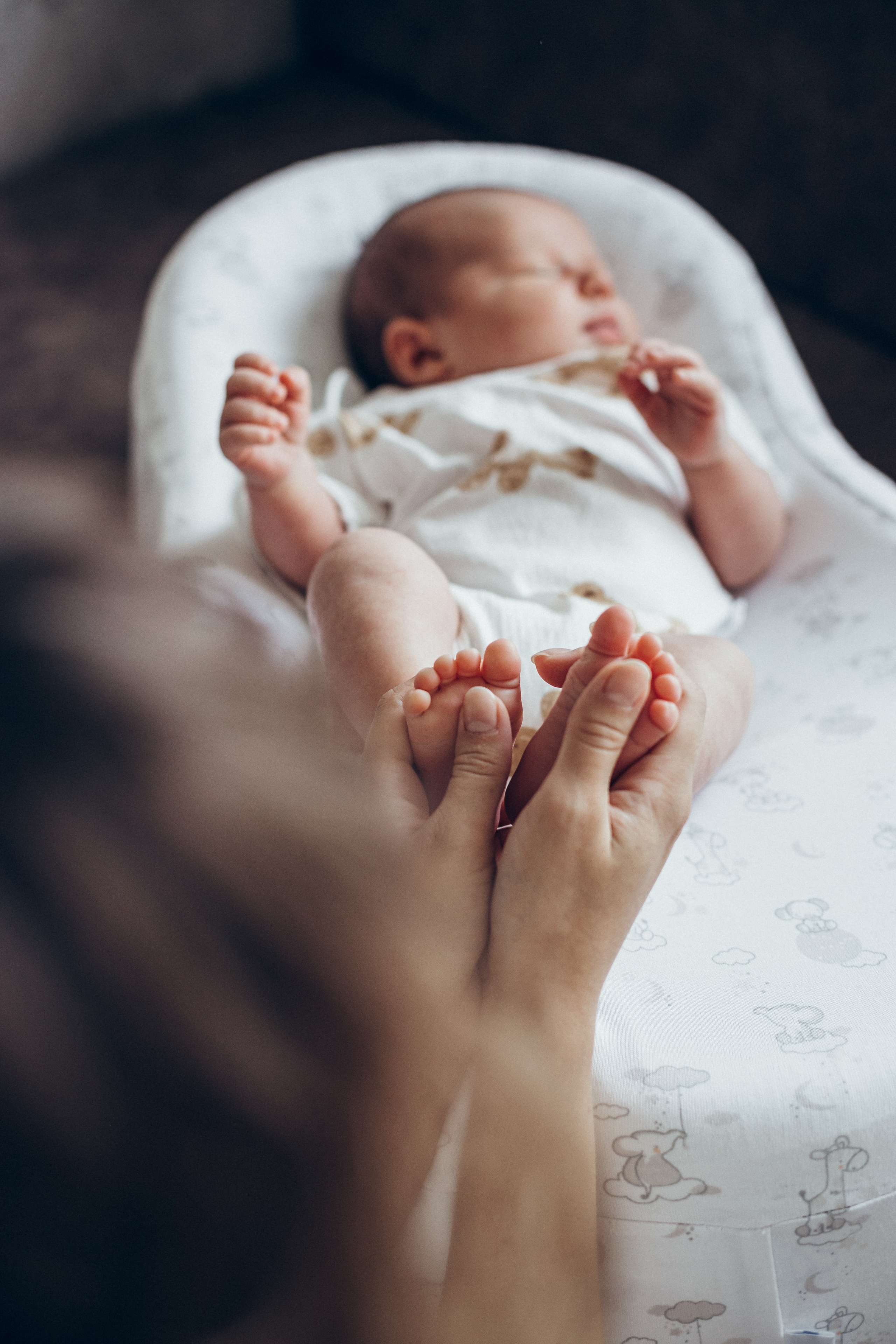 Лев. Семейный фотограф новорожденных УФА Гульнара Зиновьева