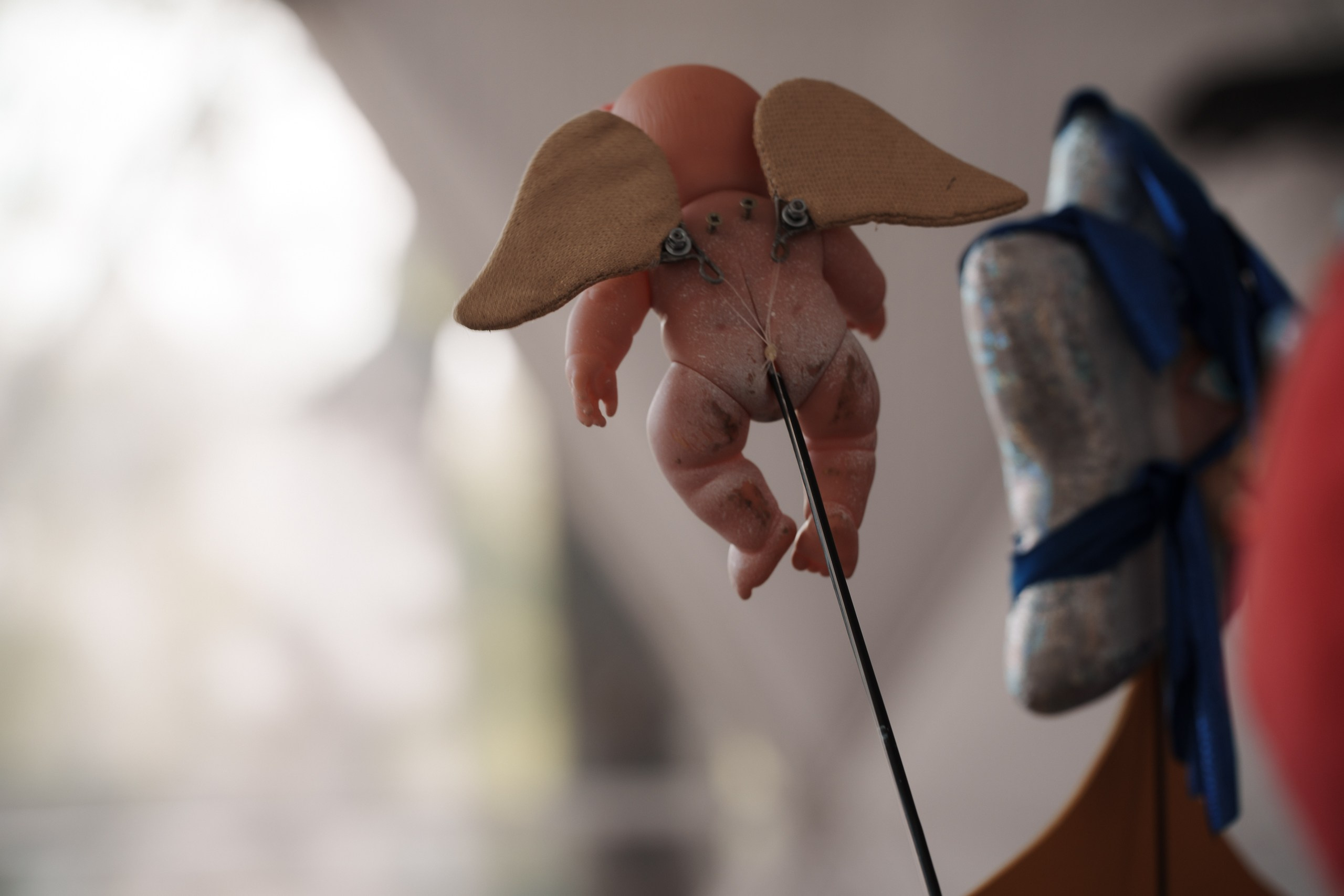 Свадебная съемка. Репортажный фотограф в Калининграде Морозов Кирилл