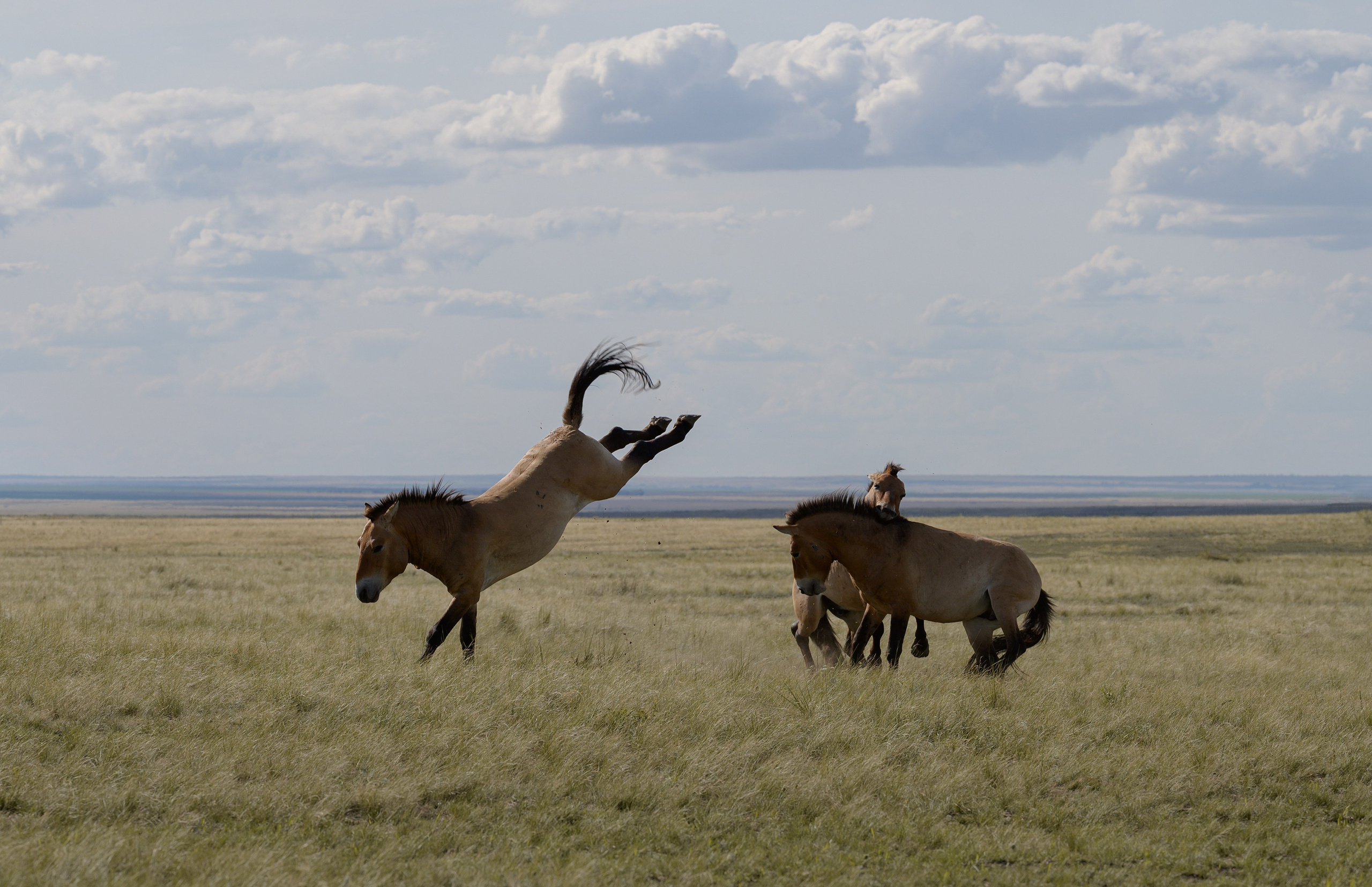 В природе. Портретный фотограф в Челябинске Катерина Руди
