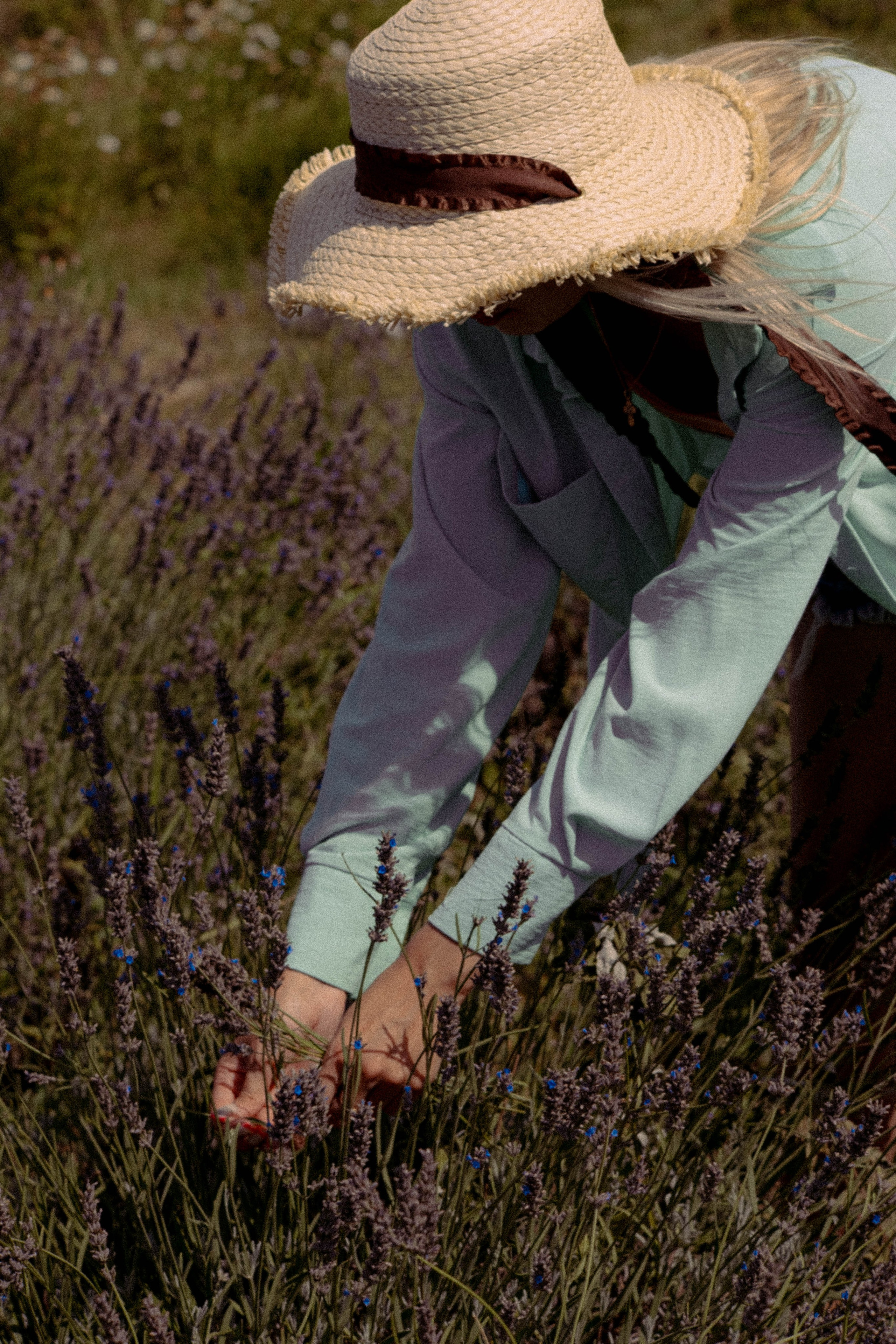 ЛАВАНВОДОВОЕ ПОЛЕ. Профессиональный фотограф, Санкт-Петербург — Виктория Богомолова