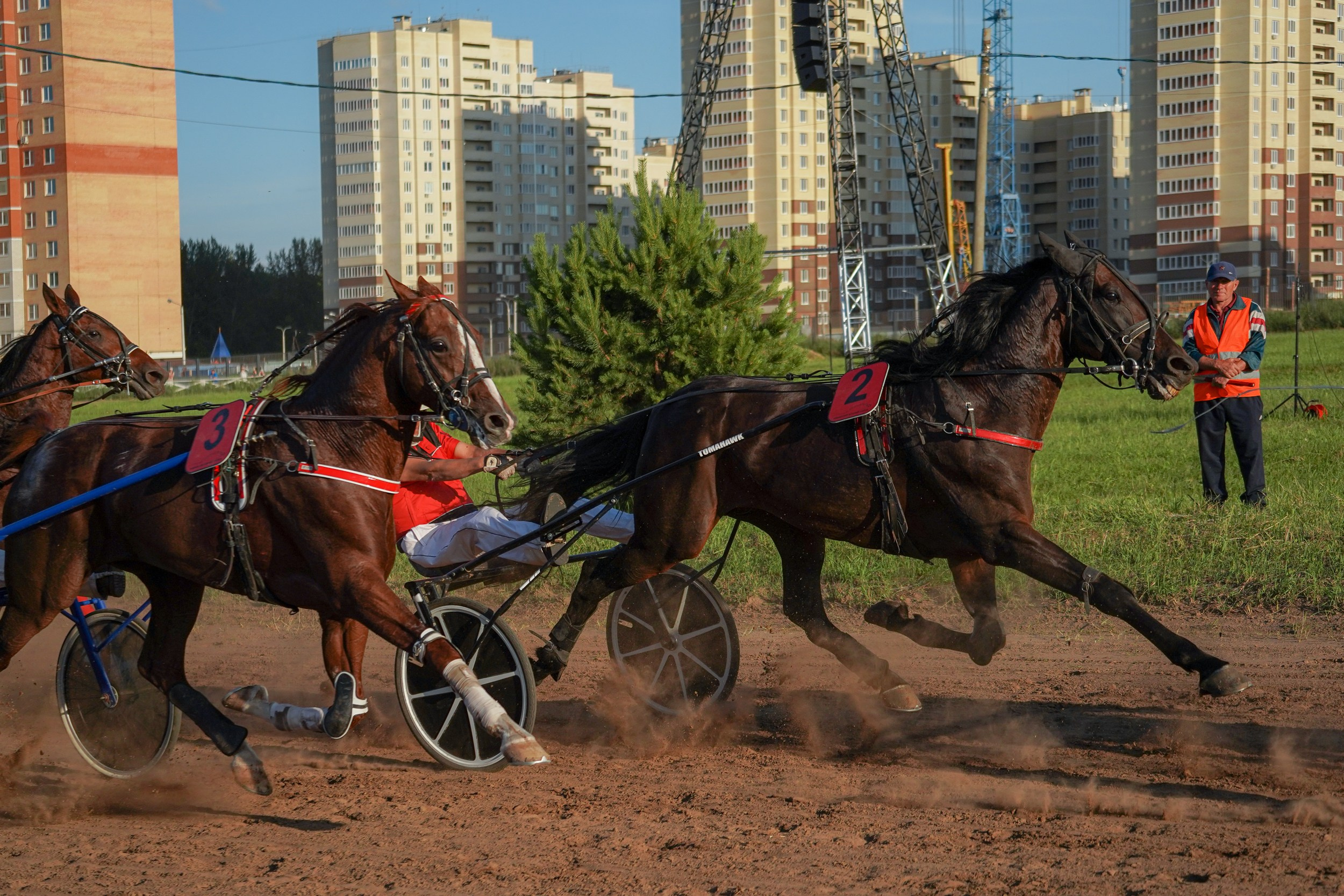 III конные бега на Кубок Главы Чувашии. Фотограф-анималист, портретный фотограф в Чебоксарах Мария Садыкова
