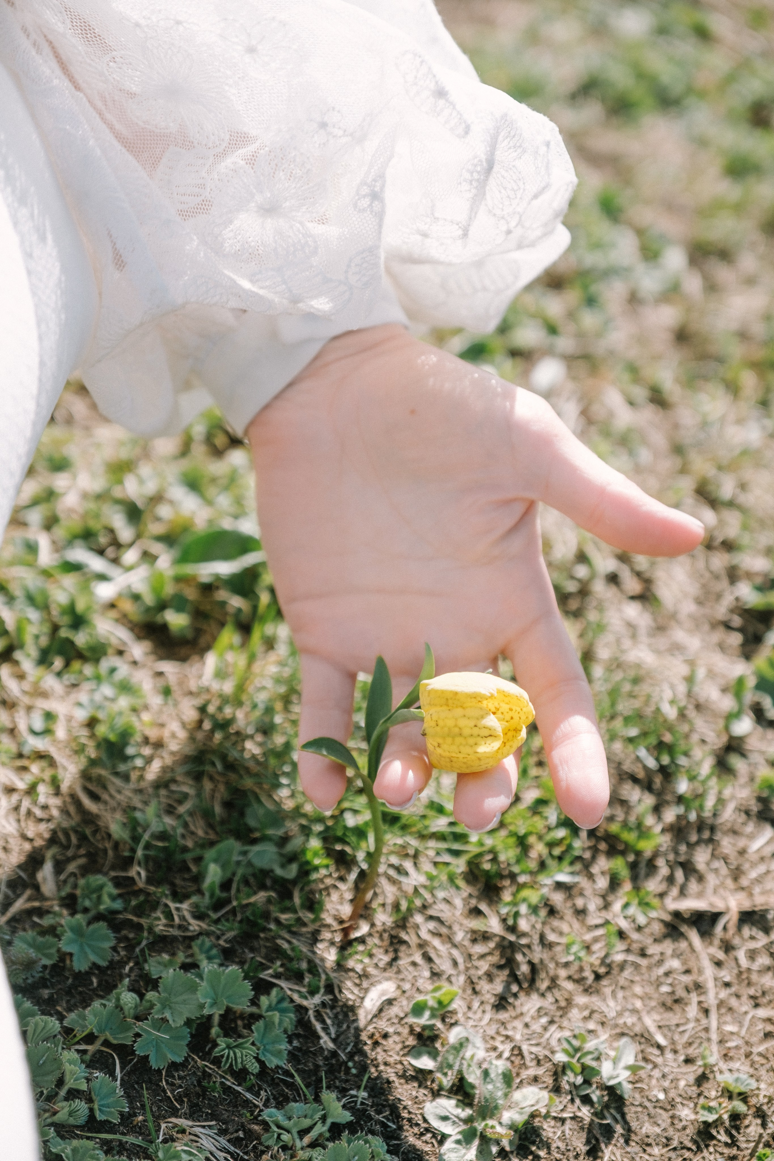 Роза Пик. Свадебный Видеограф Фотограф в Сочи