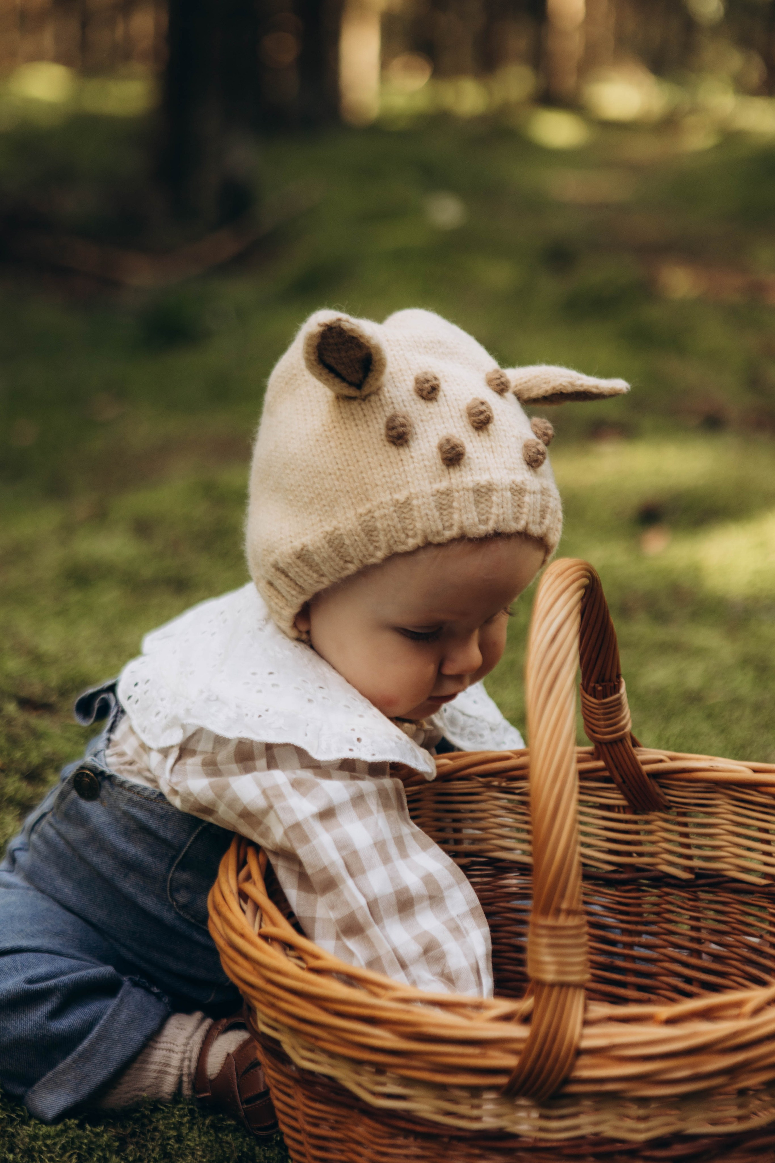 Лесная история. Наталья Косьянова. Ваш фотограф. Москва