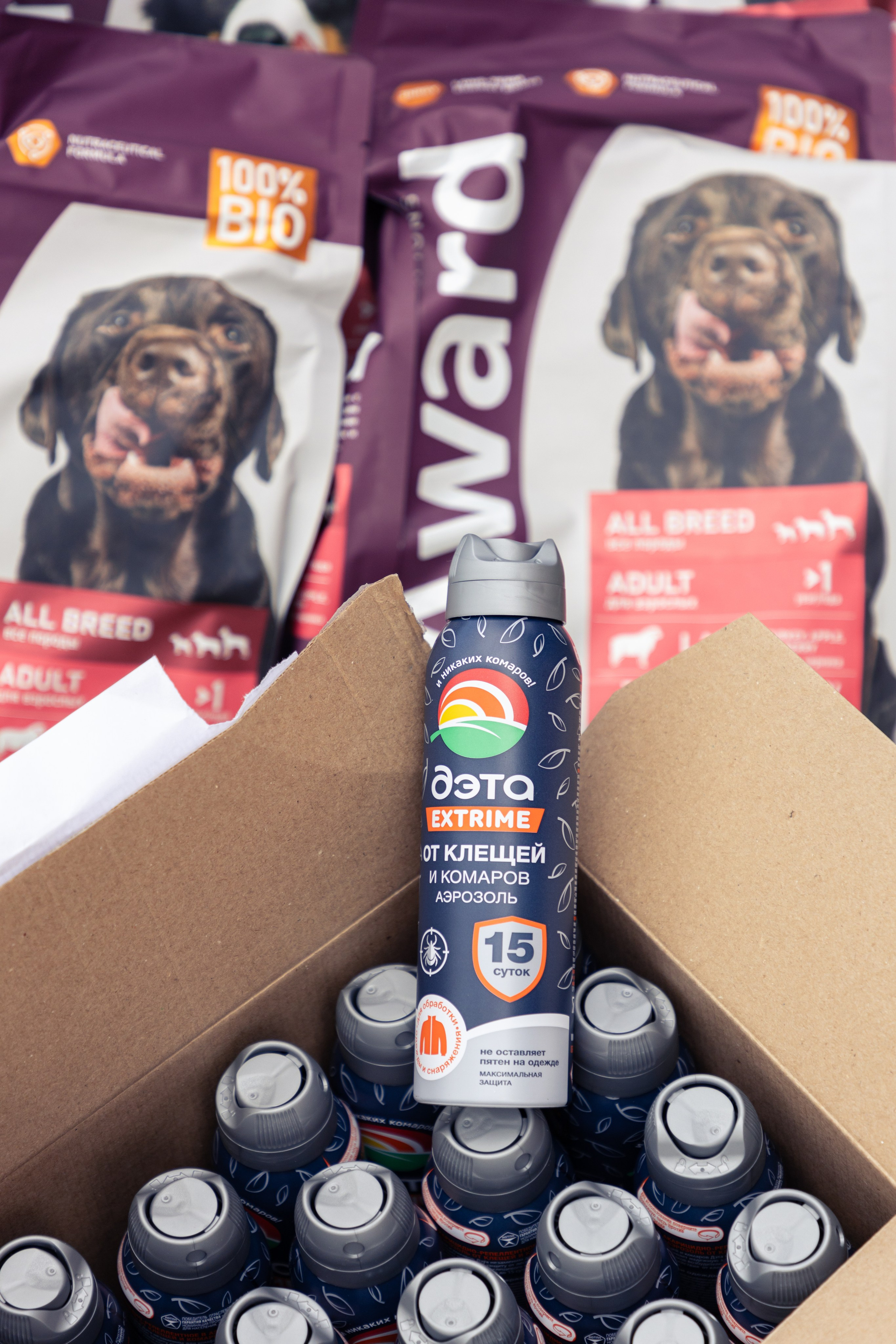 ДПСО «ЛизаАлерт». Главная