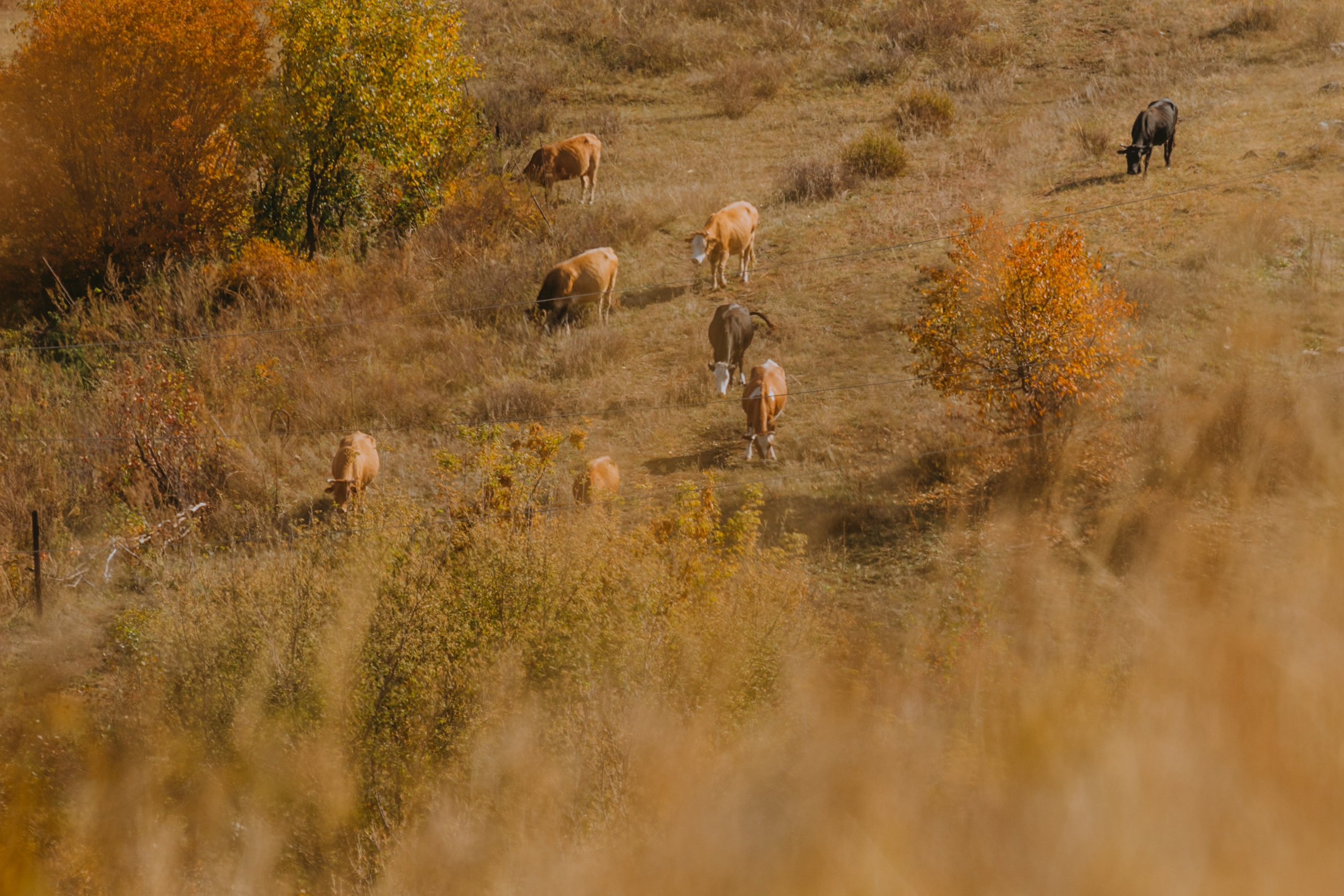 Усть-Каменогорск, Сентябрь 2024