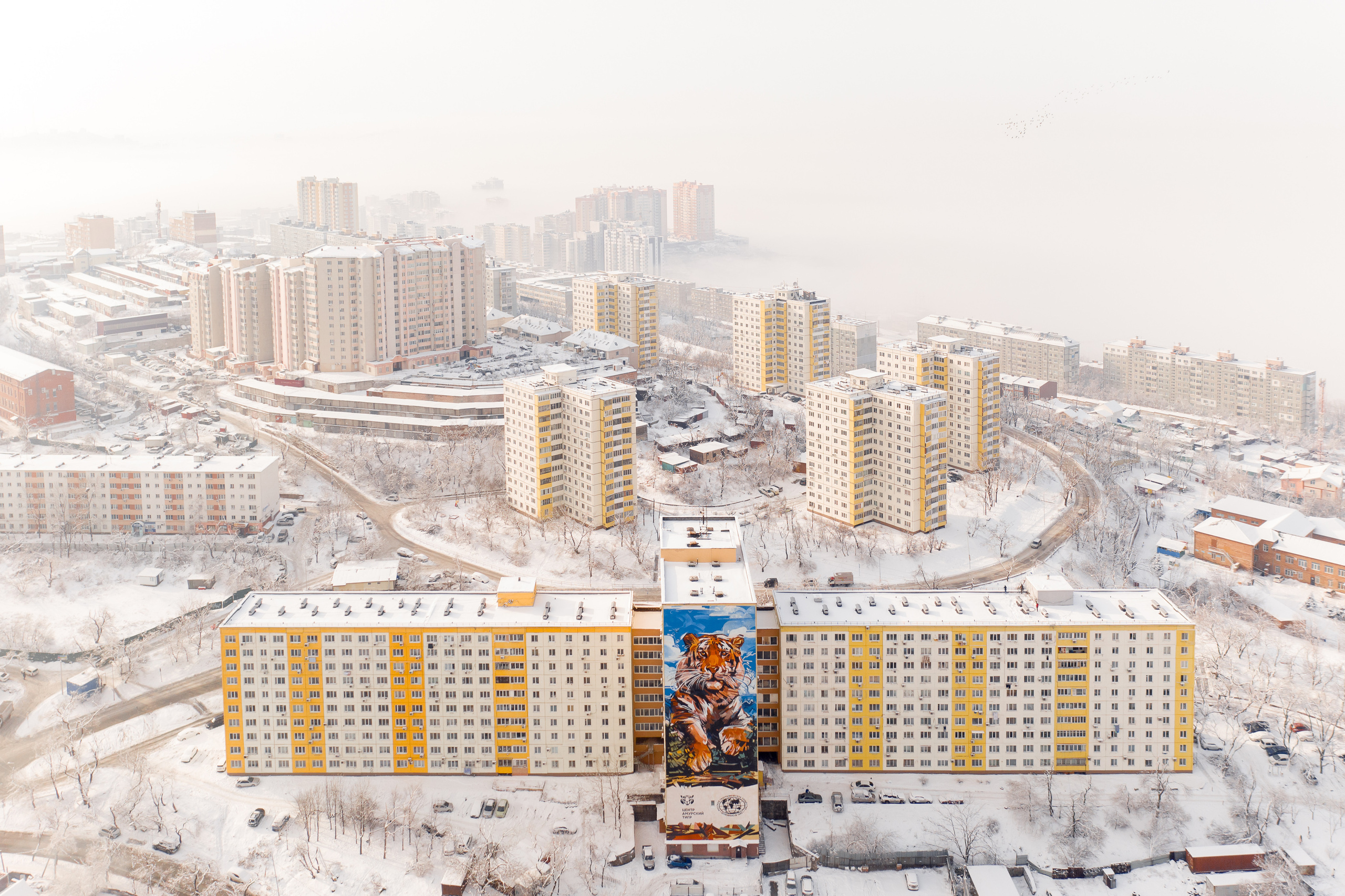 Зима в Приморье и Владивостоке. Фотограф во Владивостоке Антон Блохин