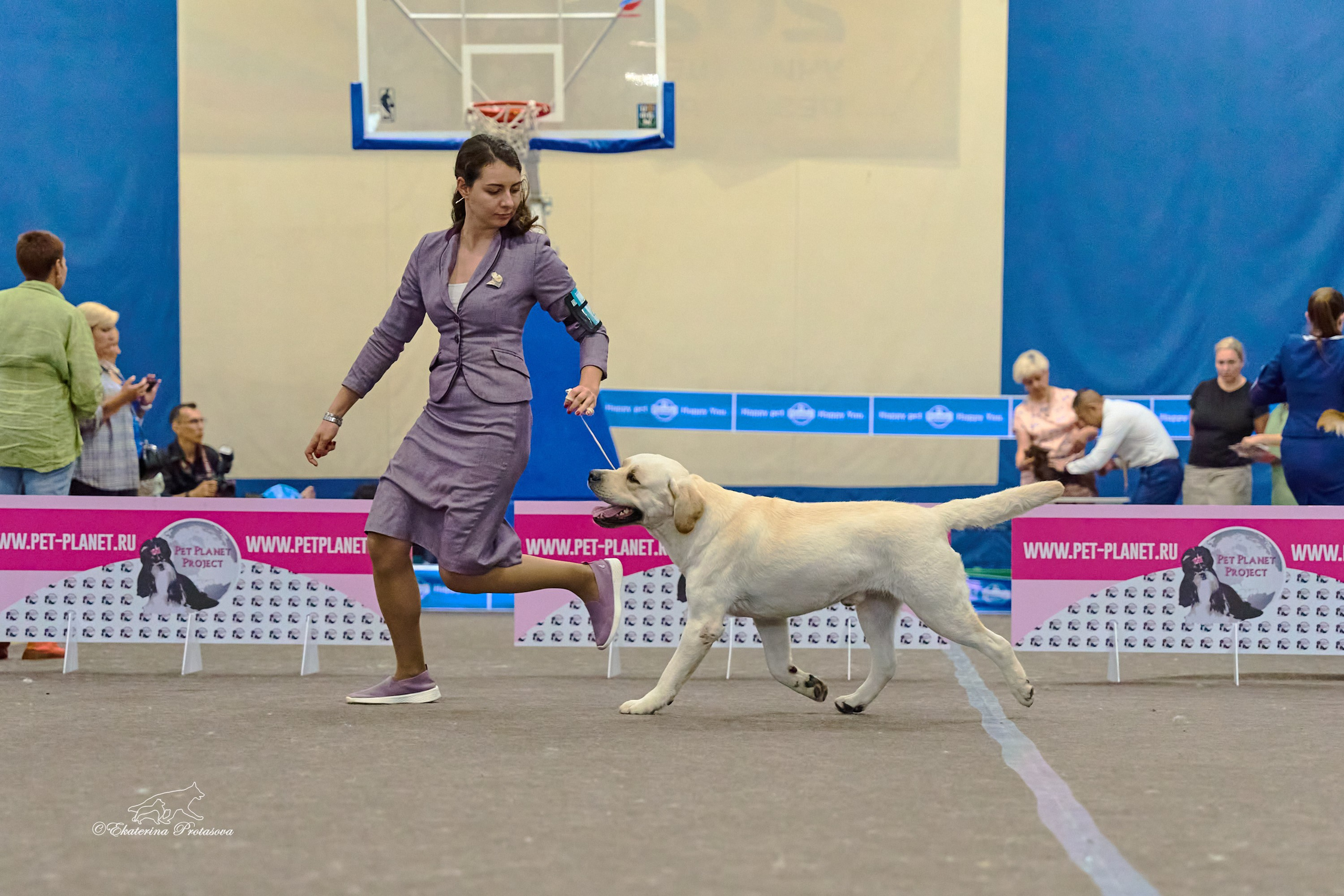 Выставки разное. Фотограф-анималист в Иркутске