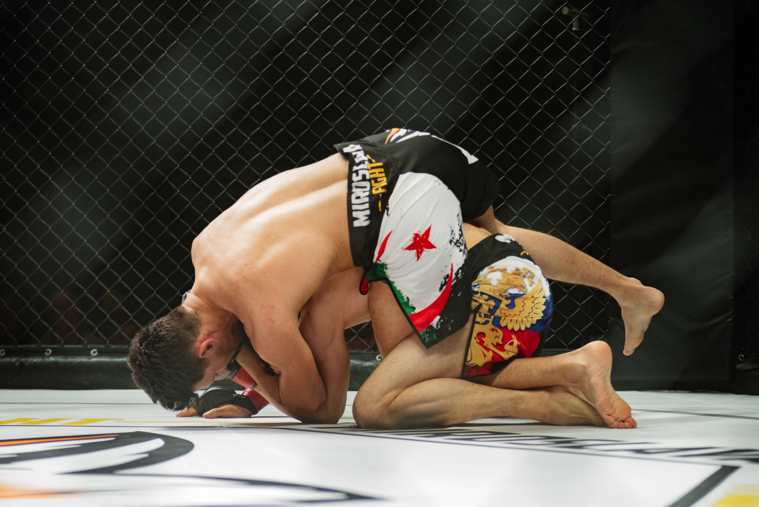 Miroslava Fight