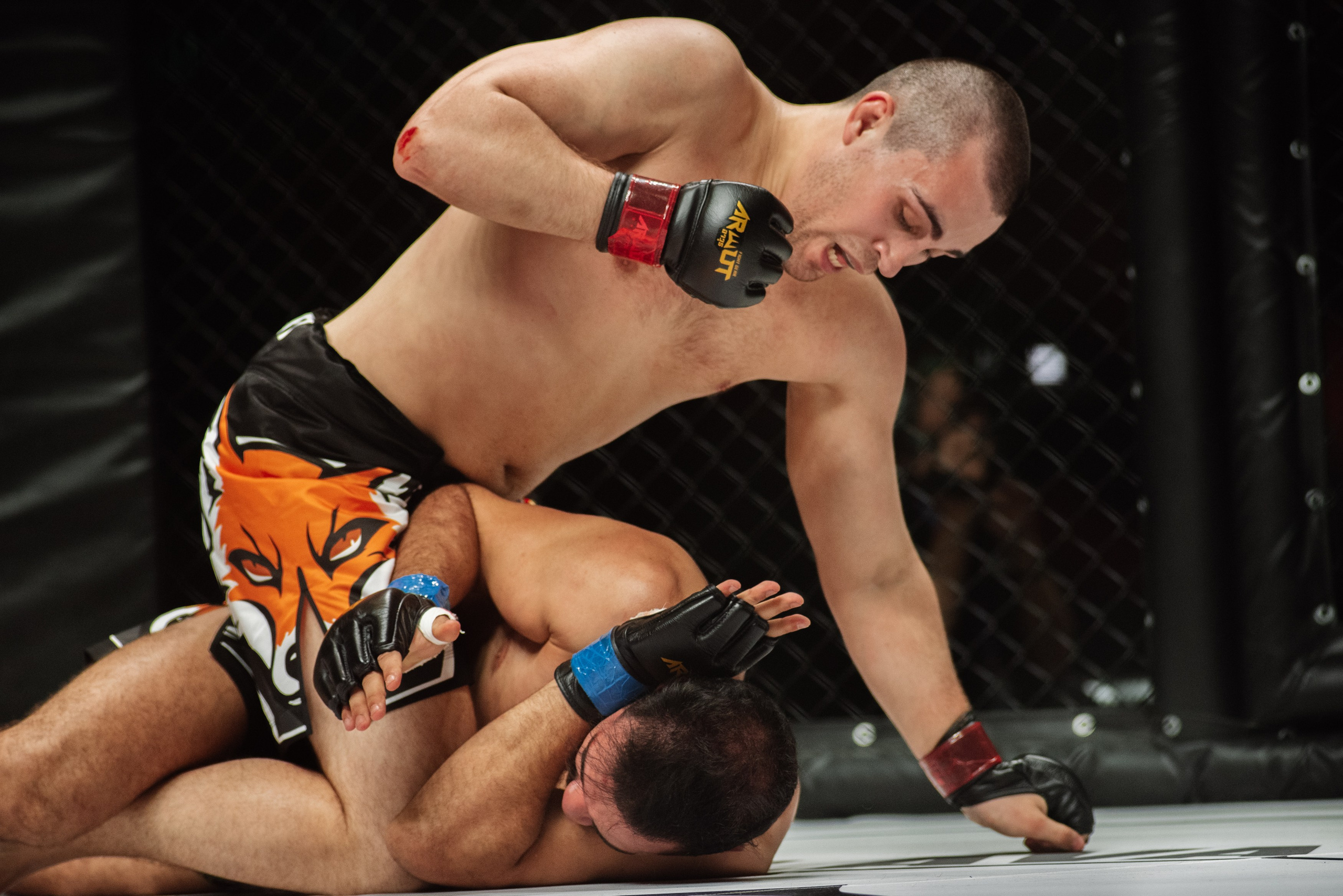 Miroslava Fight
