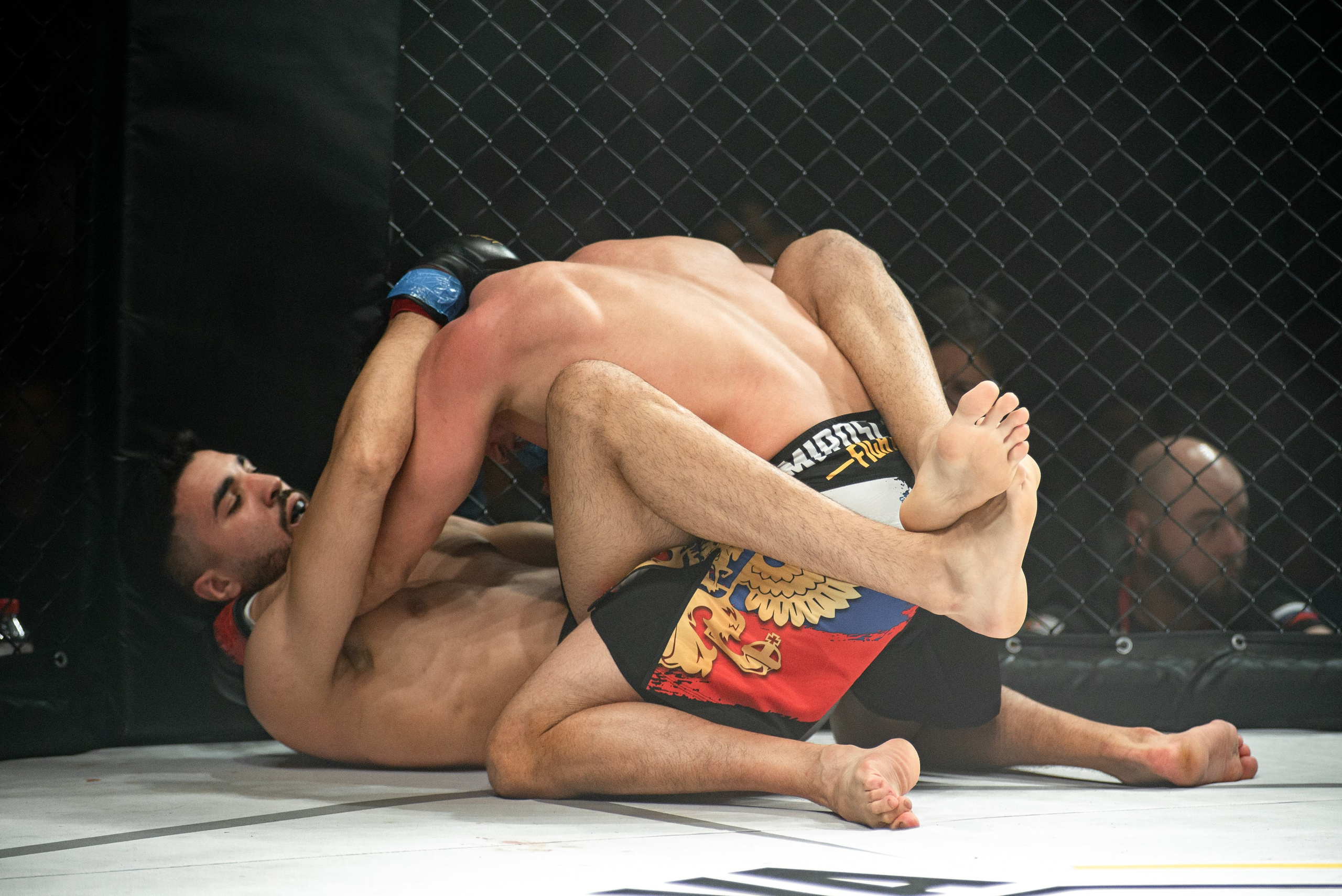 Miroslava Fight