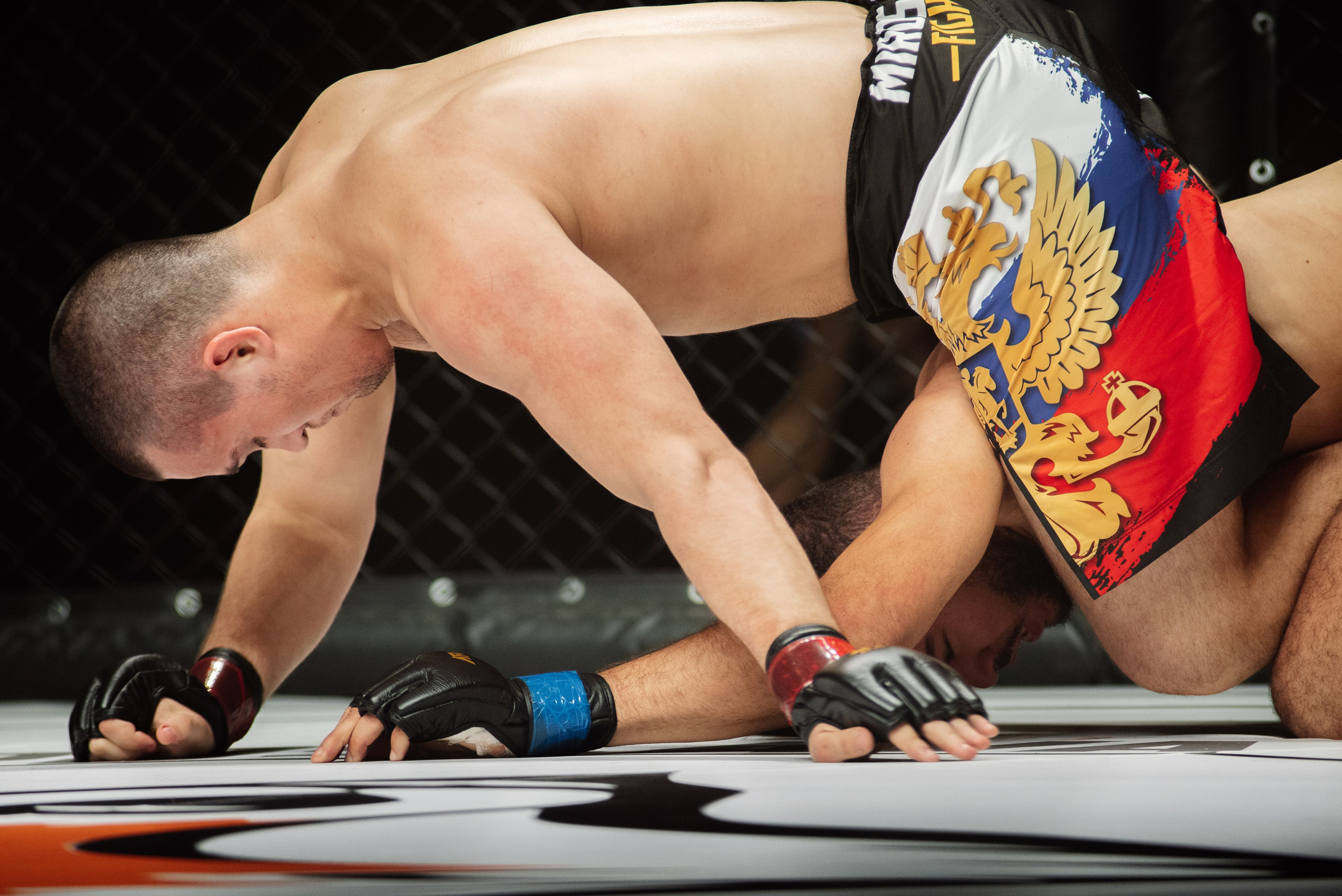 Miroslava Fight