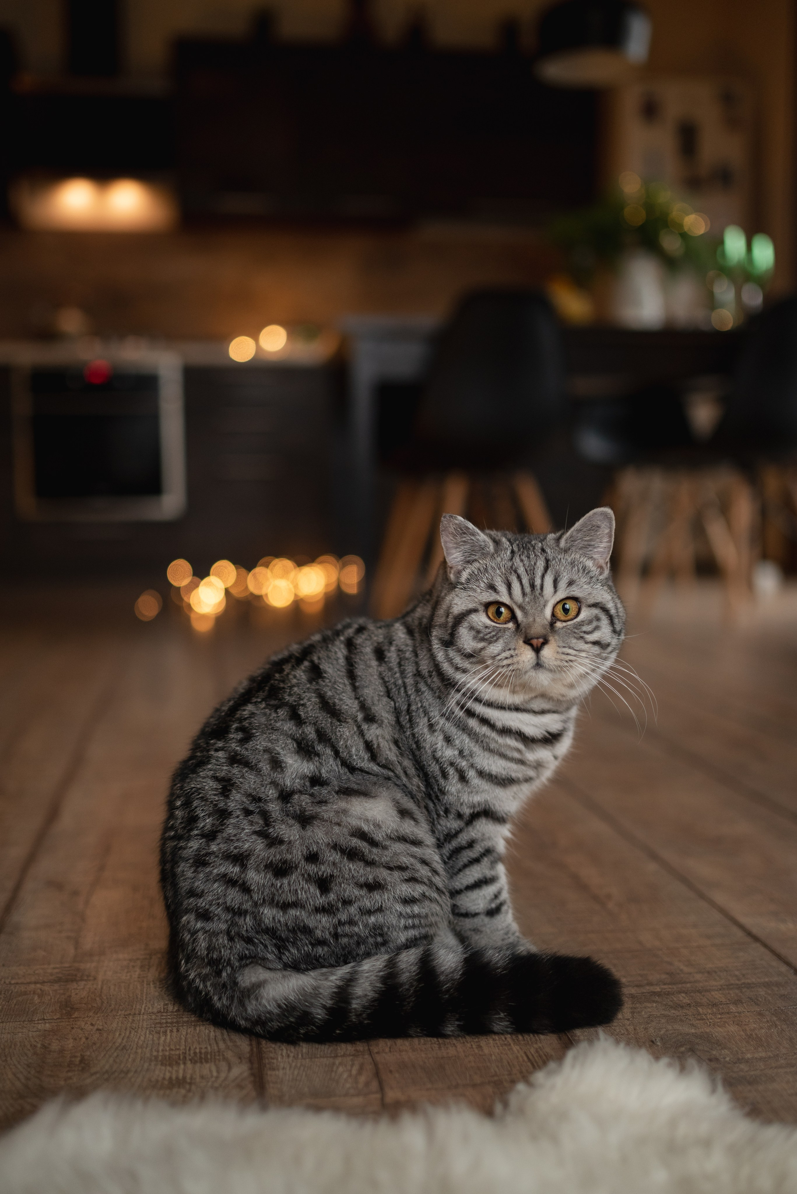 Оксана Сергей Ваня и Егор. Семейный фотограф Ирина Сгибнева