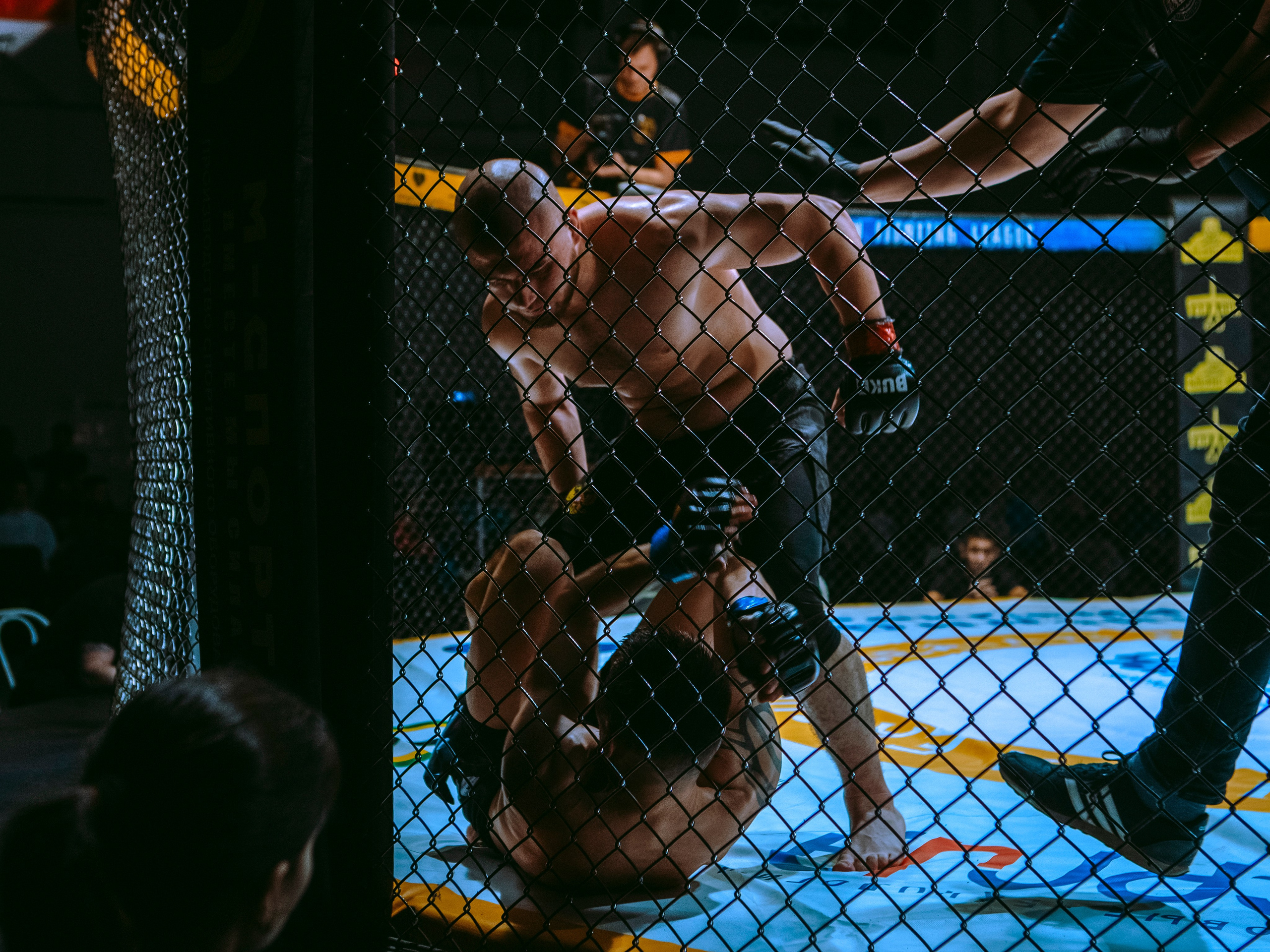 SFL 17 | Siberian Fighting League. Портретный фотограф в Москве Дарья Цезария