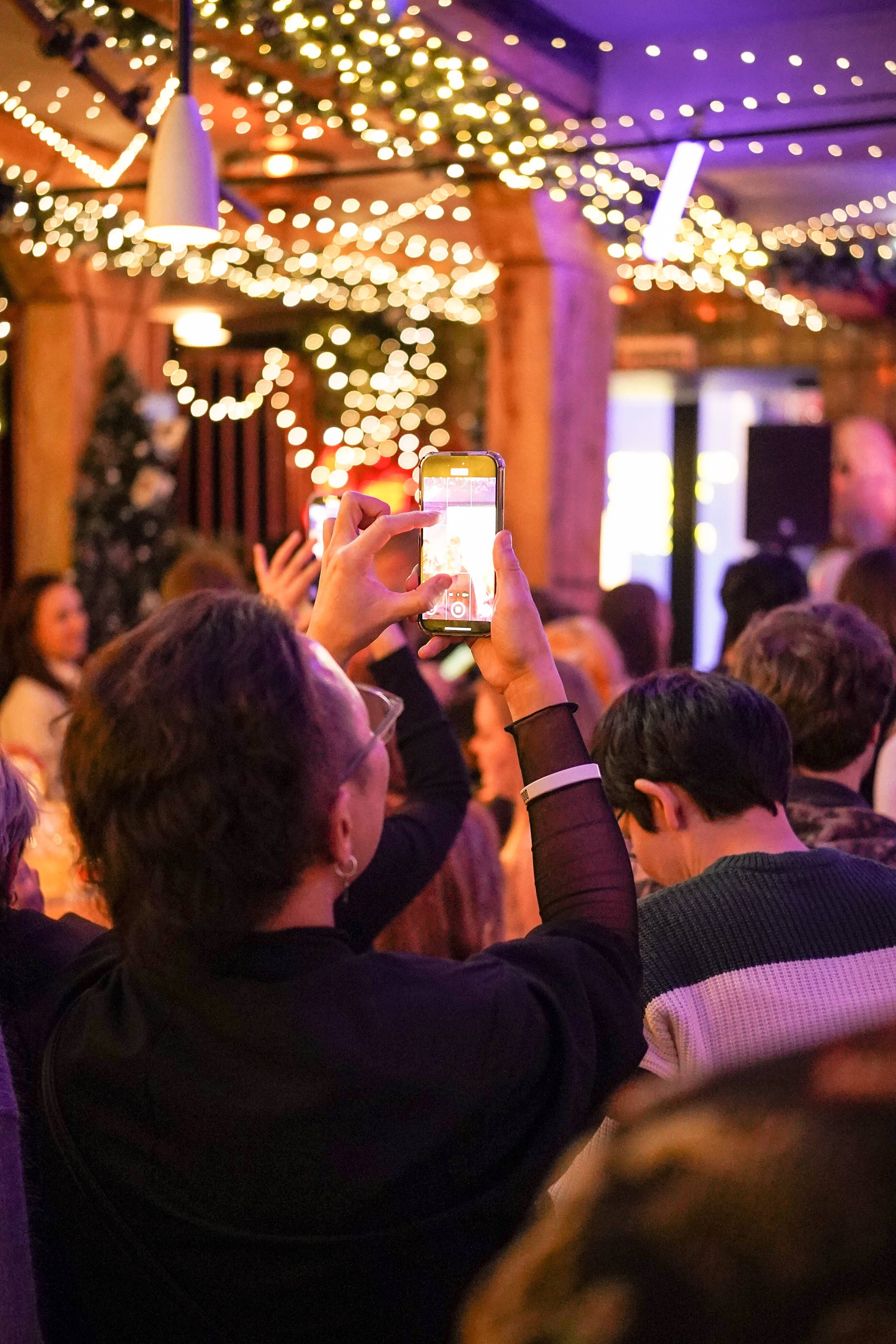 Бар Собаки в тумане. Фотограф