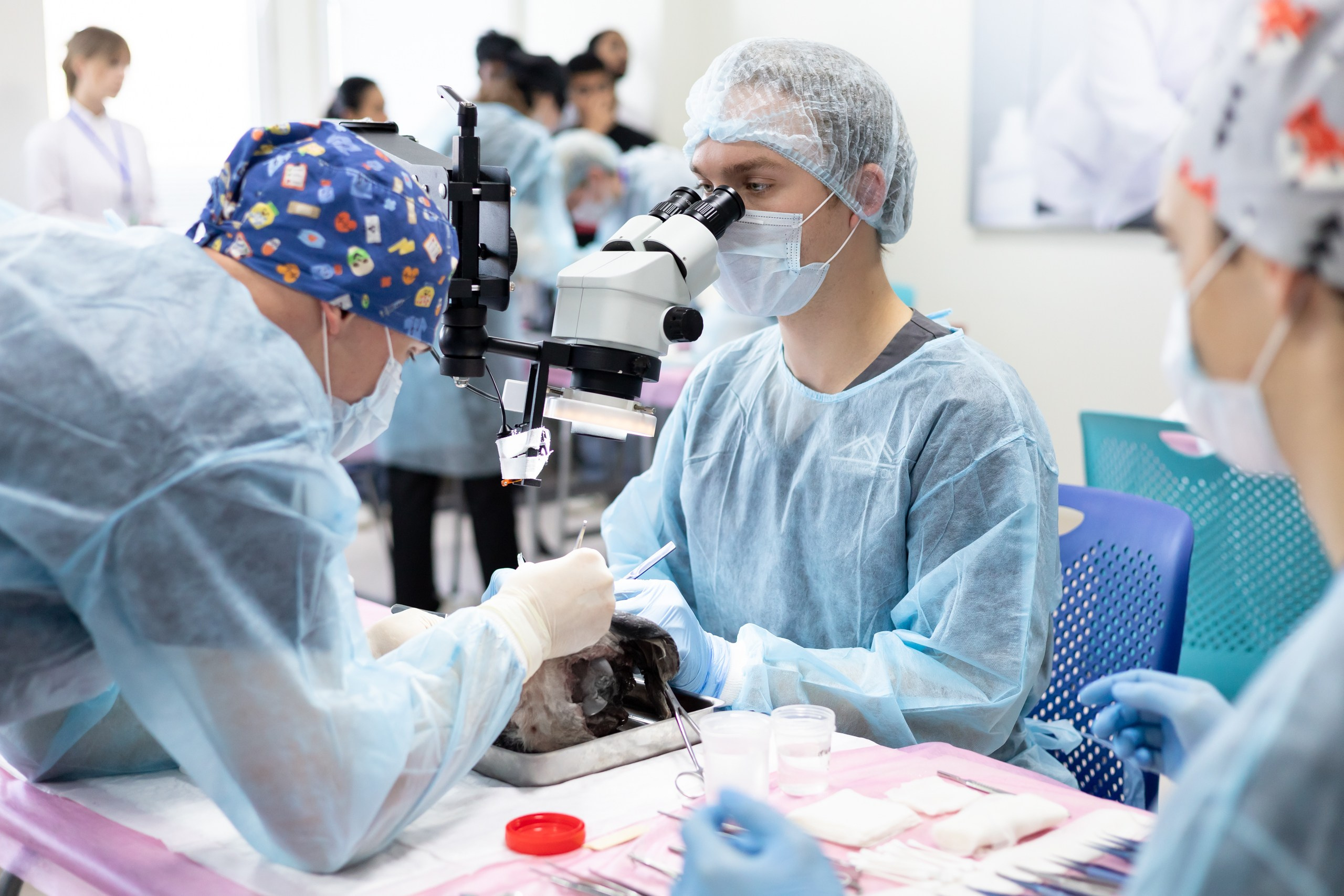 III Дальневосточная региональная олимпиада по детской хирургии. Главная