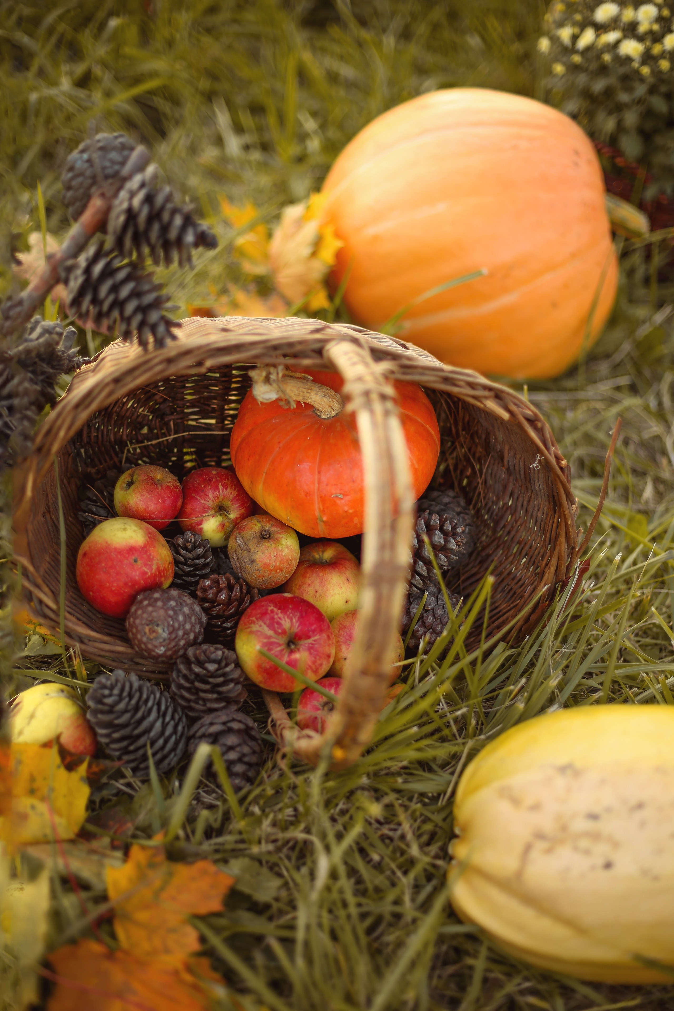 Осенний пикник с кроликом. Фотограф Ульянкина Мария