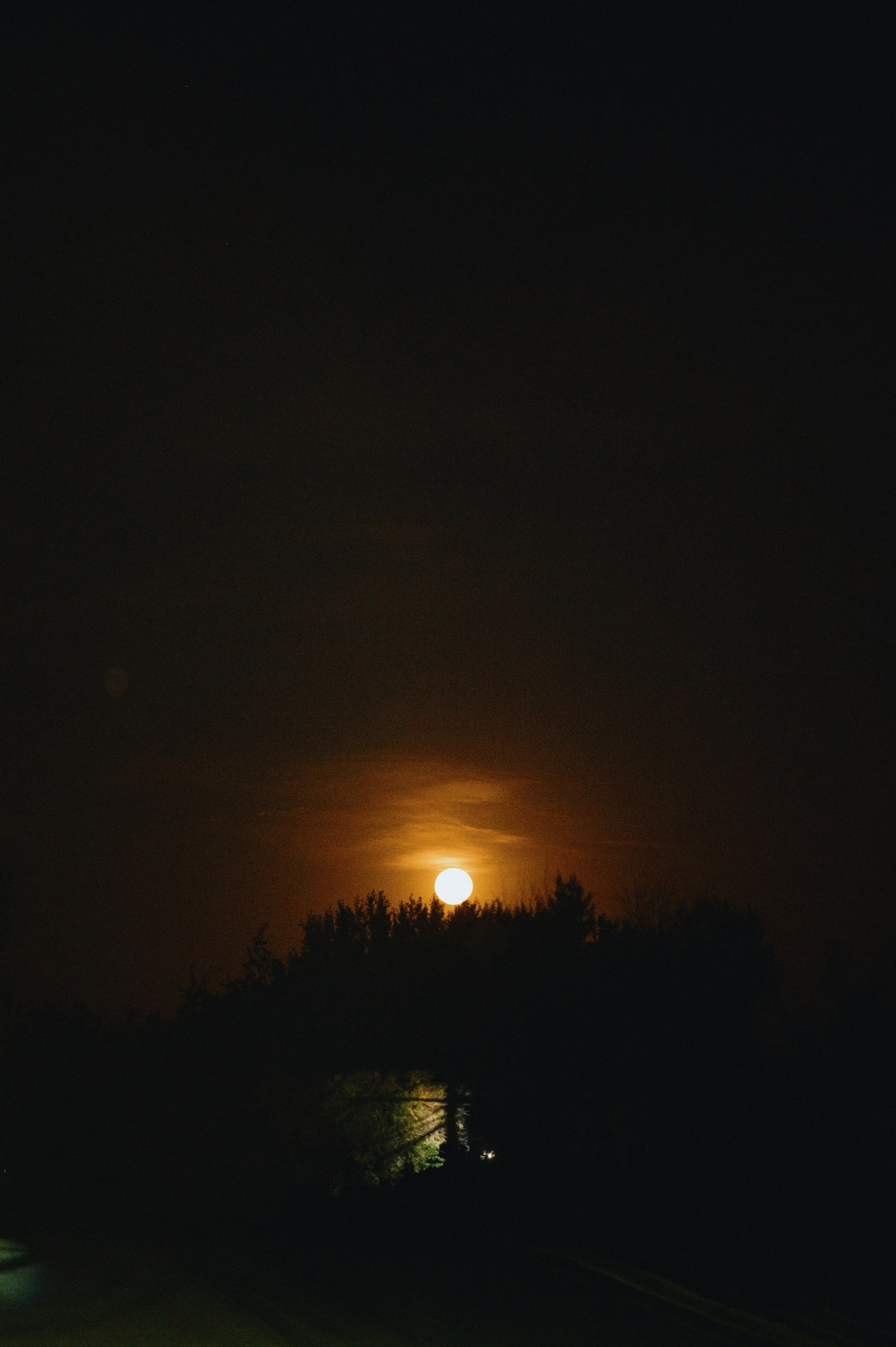 Богдан и Катя. Гольф клуб. Свадебный фотограф и видеограф